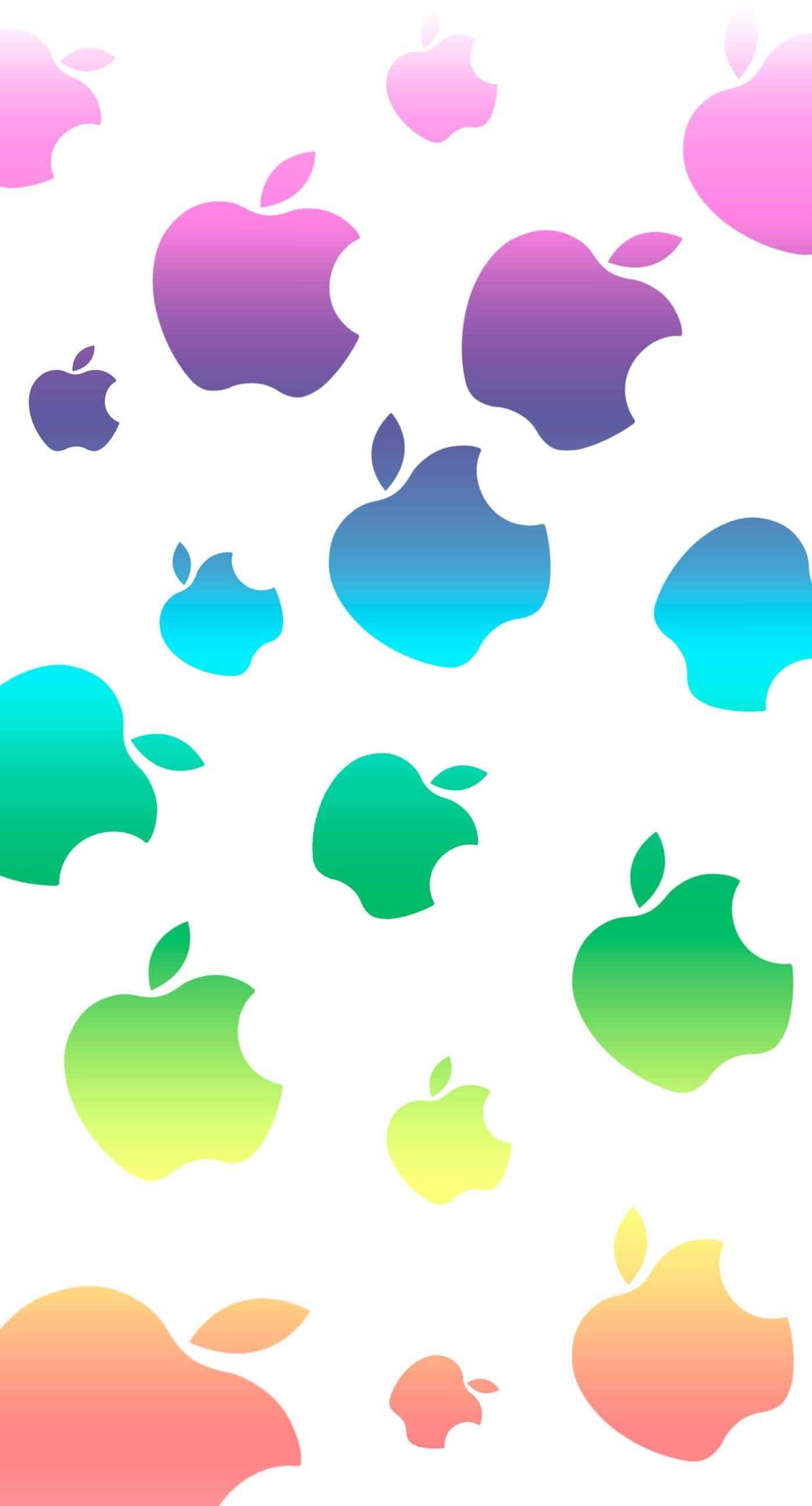Søte valper på iPhone-bakgrunn Bakgrunner