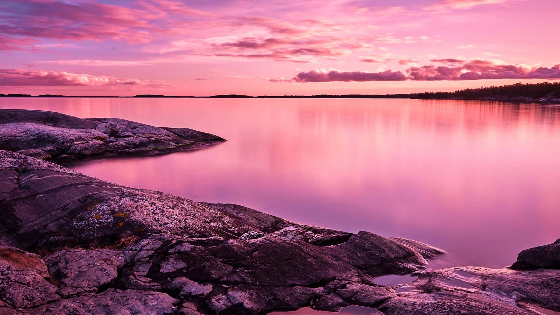 Stilig rosa bærbar PC Bakgrunner
