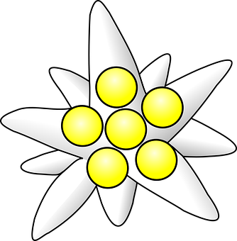 Stilisert hvit blomst-grafikk