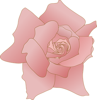 Stilisert rosa rose-illustrasjon Bakgrunner