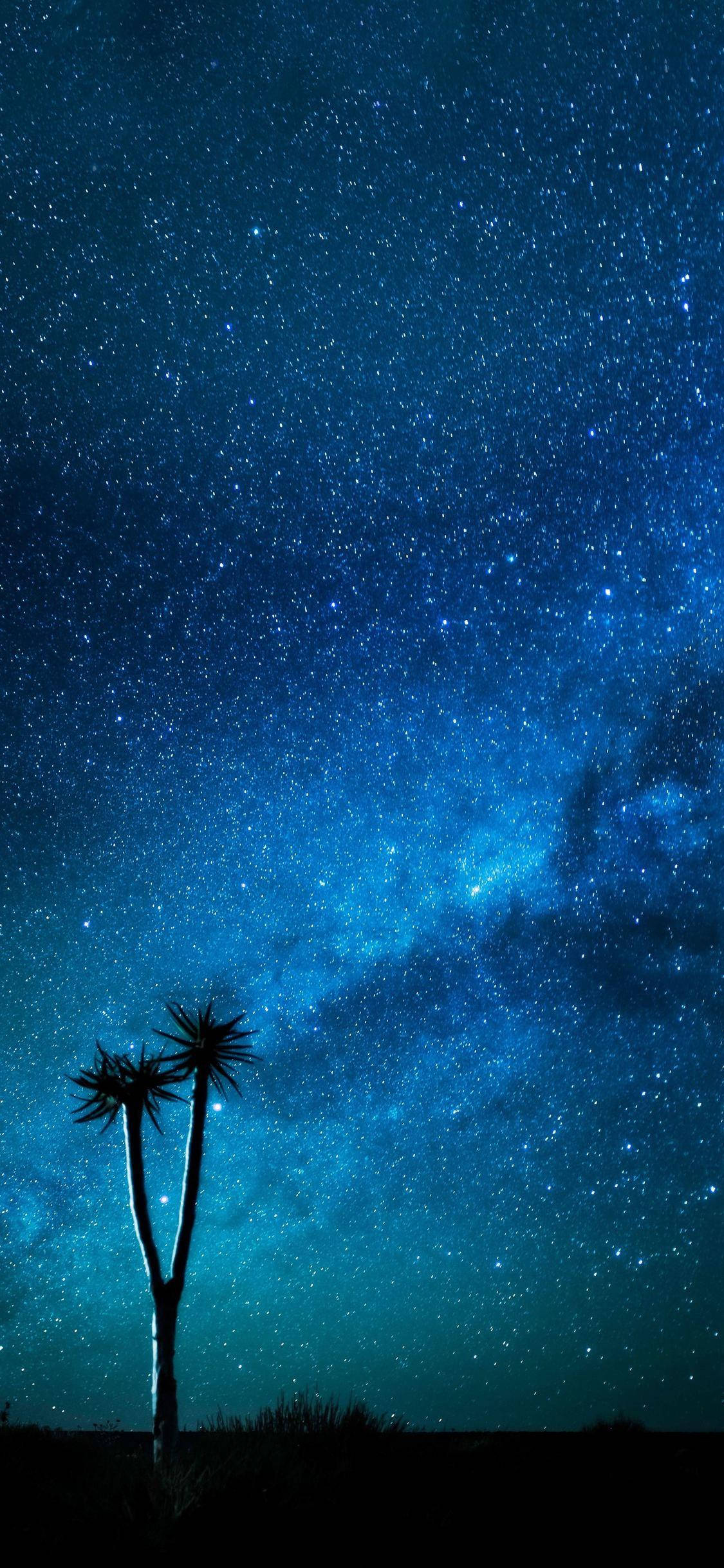 Stjerneklar nattehimmel blå iPhone Bakgrunner