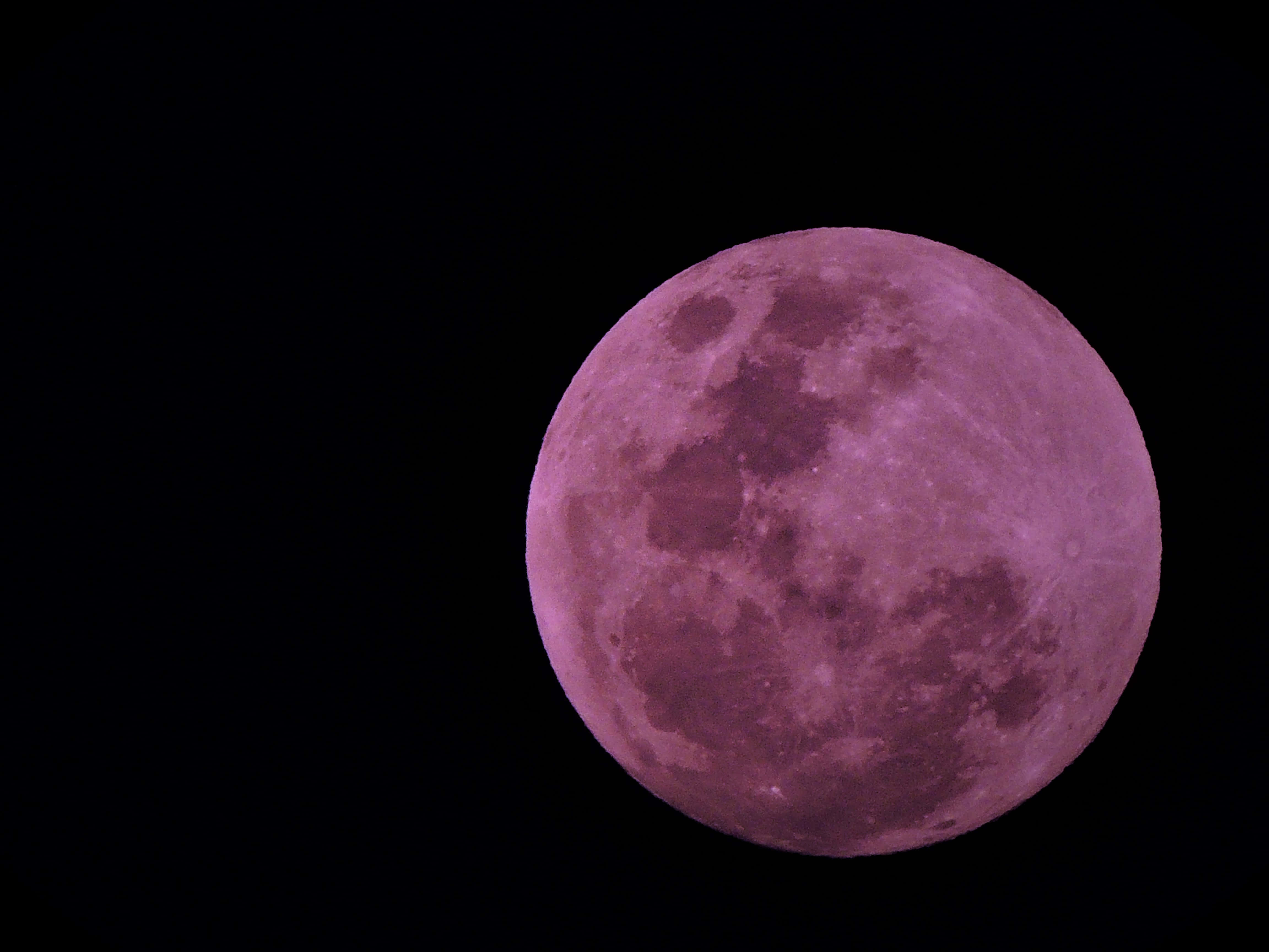Stor rosa måne på mørk himmel Bakgrunner