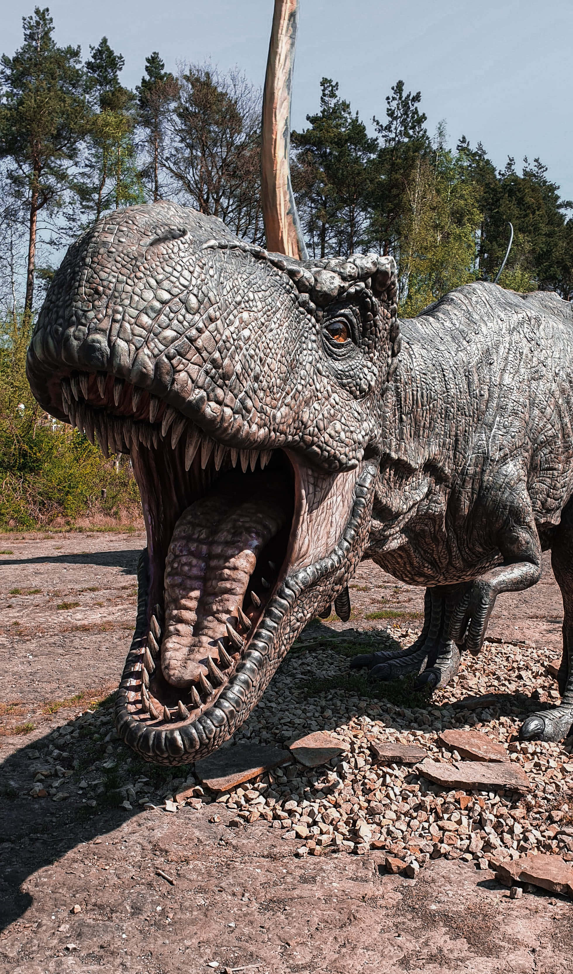 Storslått utsikt over en majestetisk Brachiosaurus Bakgrunner