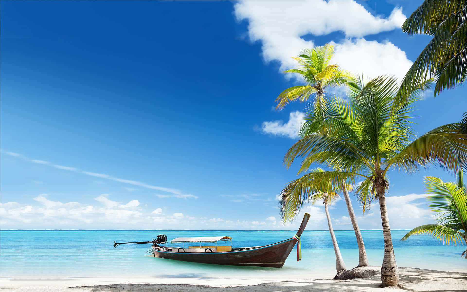 Strandscene med kokospalme og båt Bakgrunner