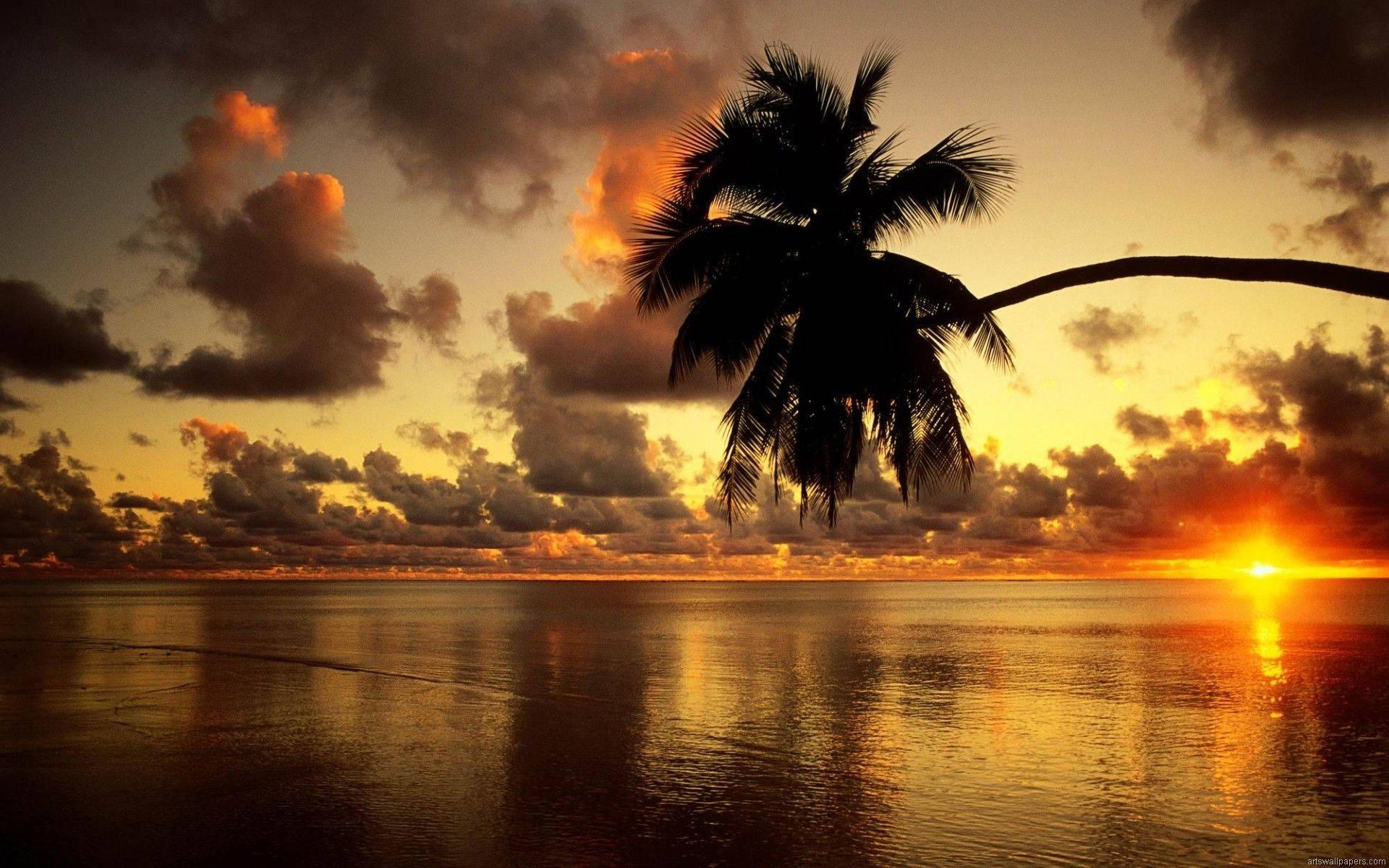 Strandsolnedgang på Full HD PC-skrivebord Bakgrunner