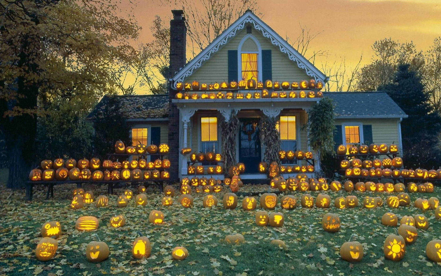 Søtt Halloween-hus med Jack O' Lanterns Bakgrunner