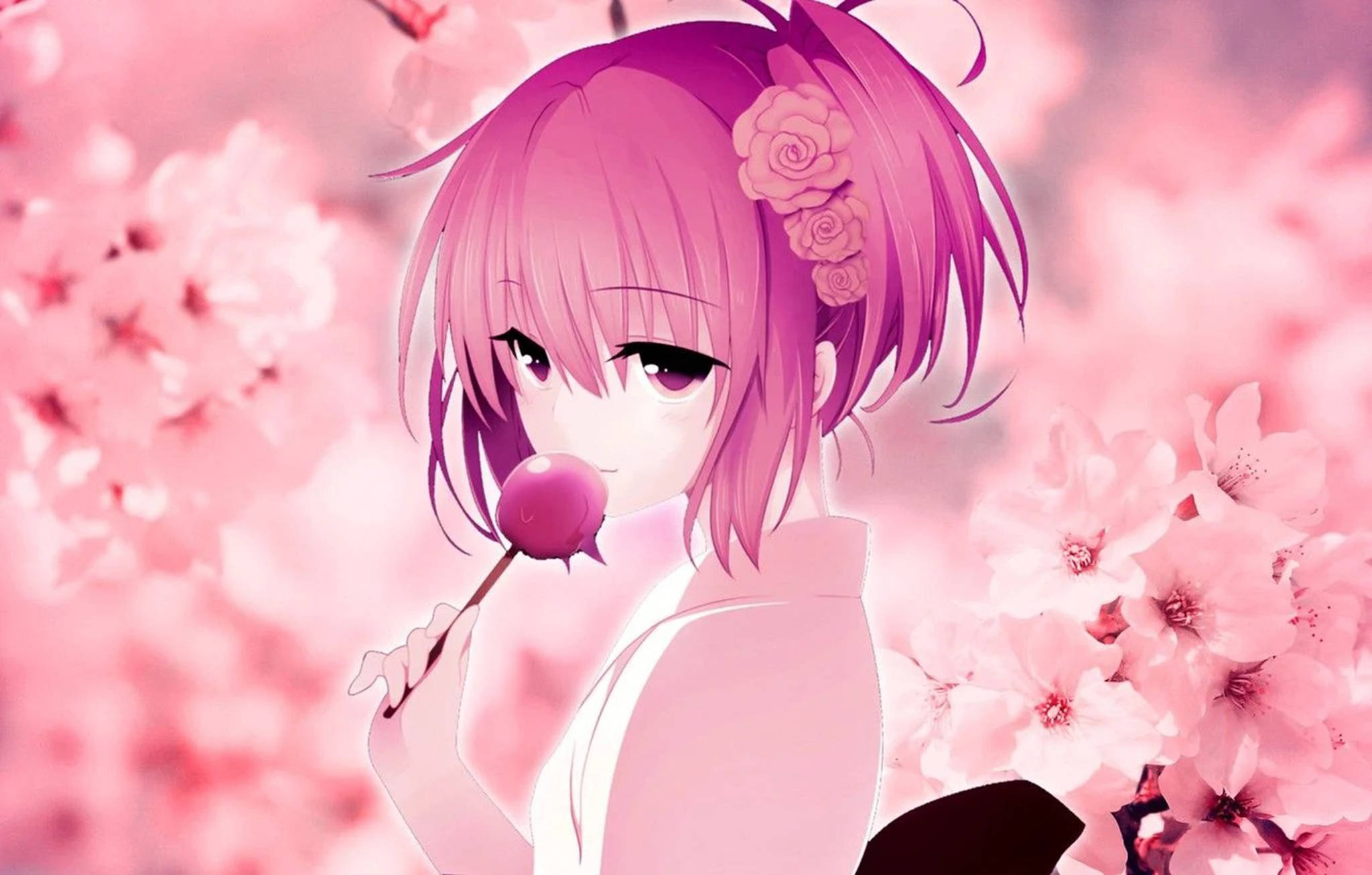 "Subtile gledesnyanser: Utforsk den fascinerende verden av rosa anime-estetikk med Momo Belia" Bakgrunner