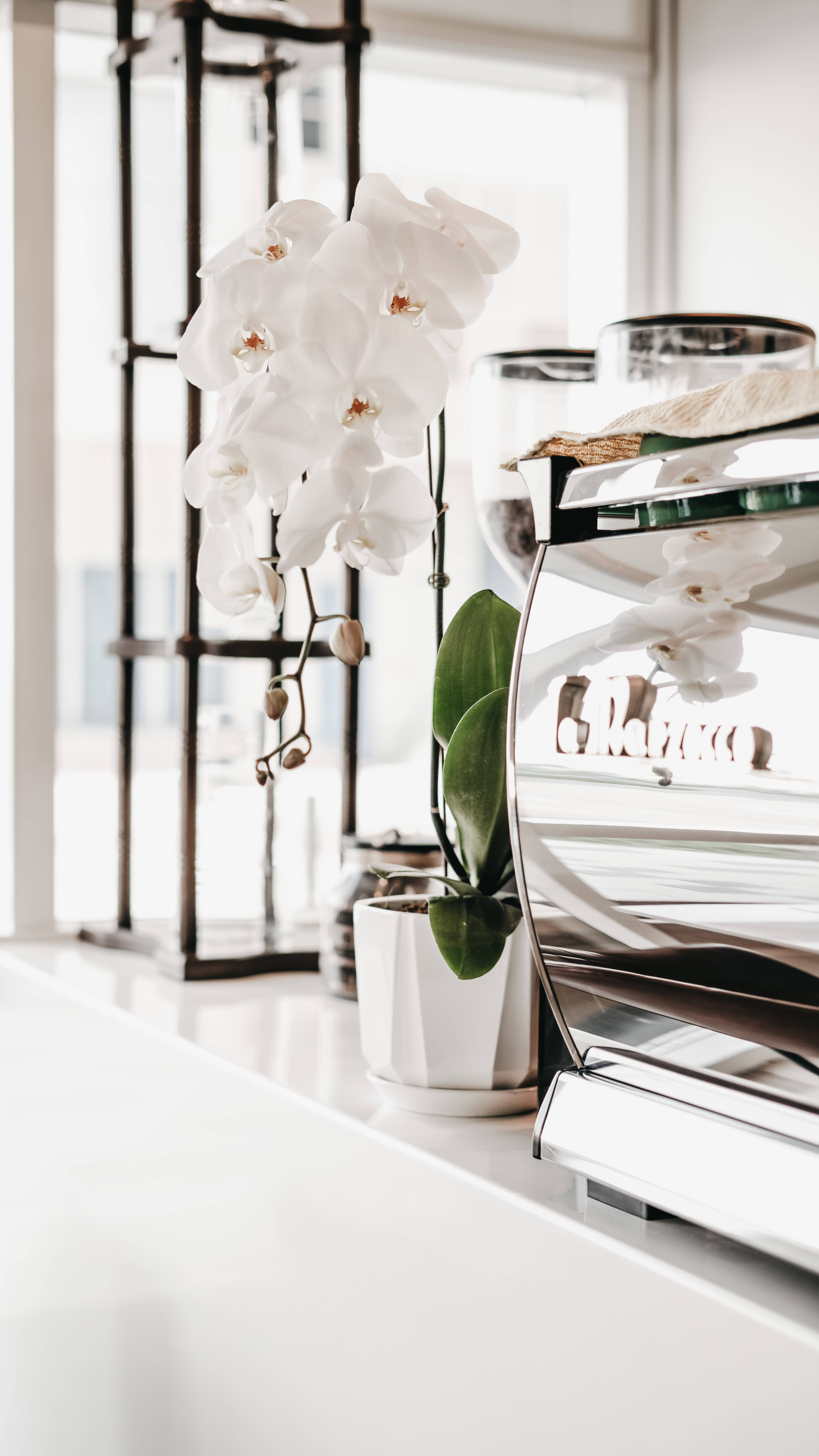 Subtilt Elegant: Beige Minimalistisk Design med Hvitt Mønster Bakgrunner
