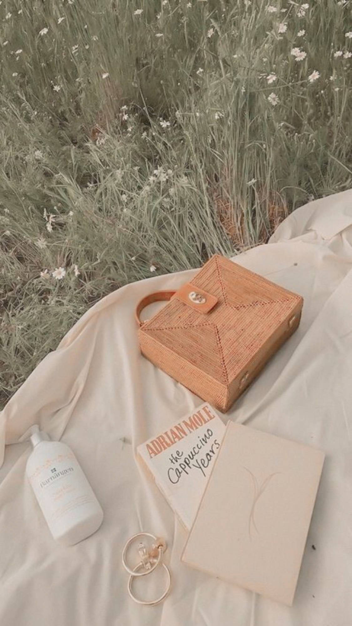 Subtilt Elegant - Beige Estetisk Veske og Bok Bakgrunner