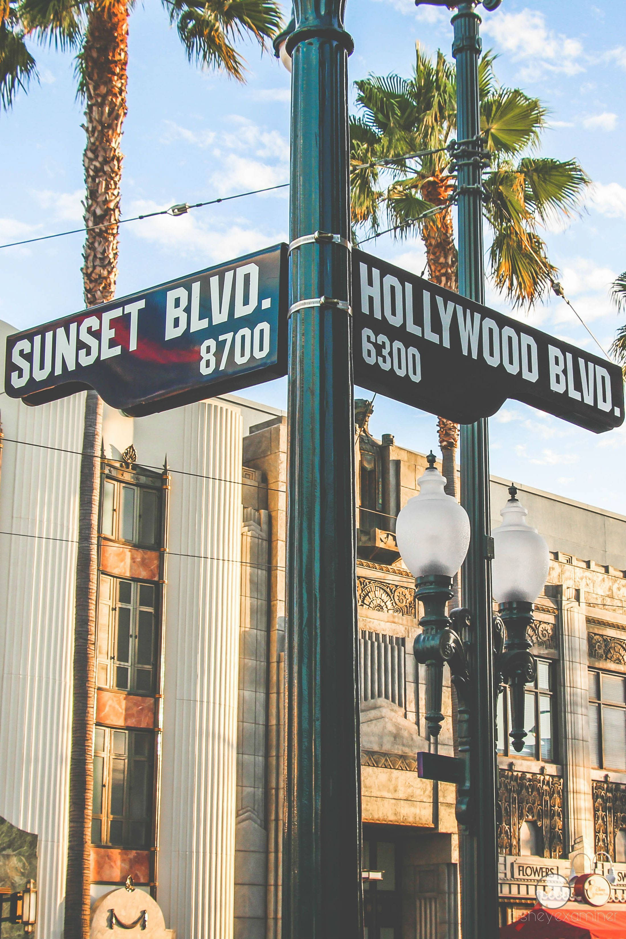 Sunset Boulevard og Hollywood Boulevard Bakgrunner
