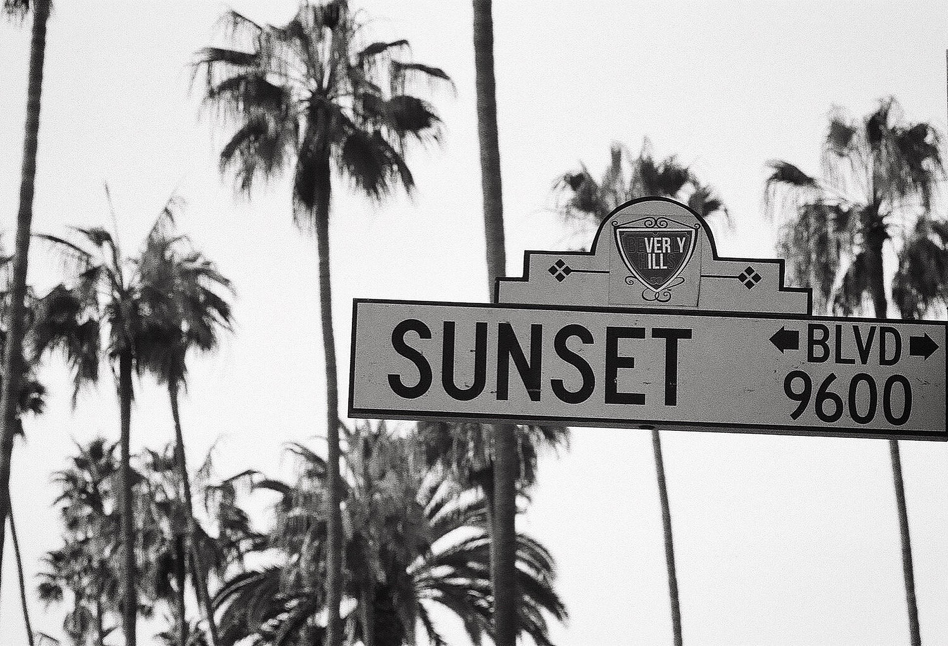 Sunset Boulevard svart-hvitt Bakgrunner