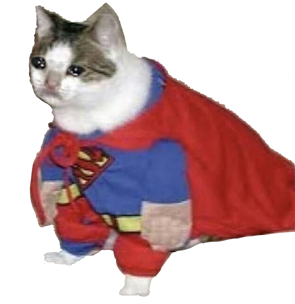 Superkatt_Helt_Meme.PNG Bakgrunner