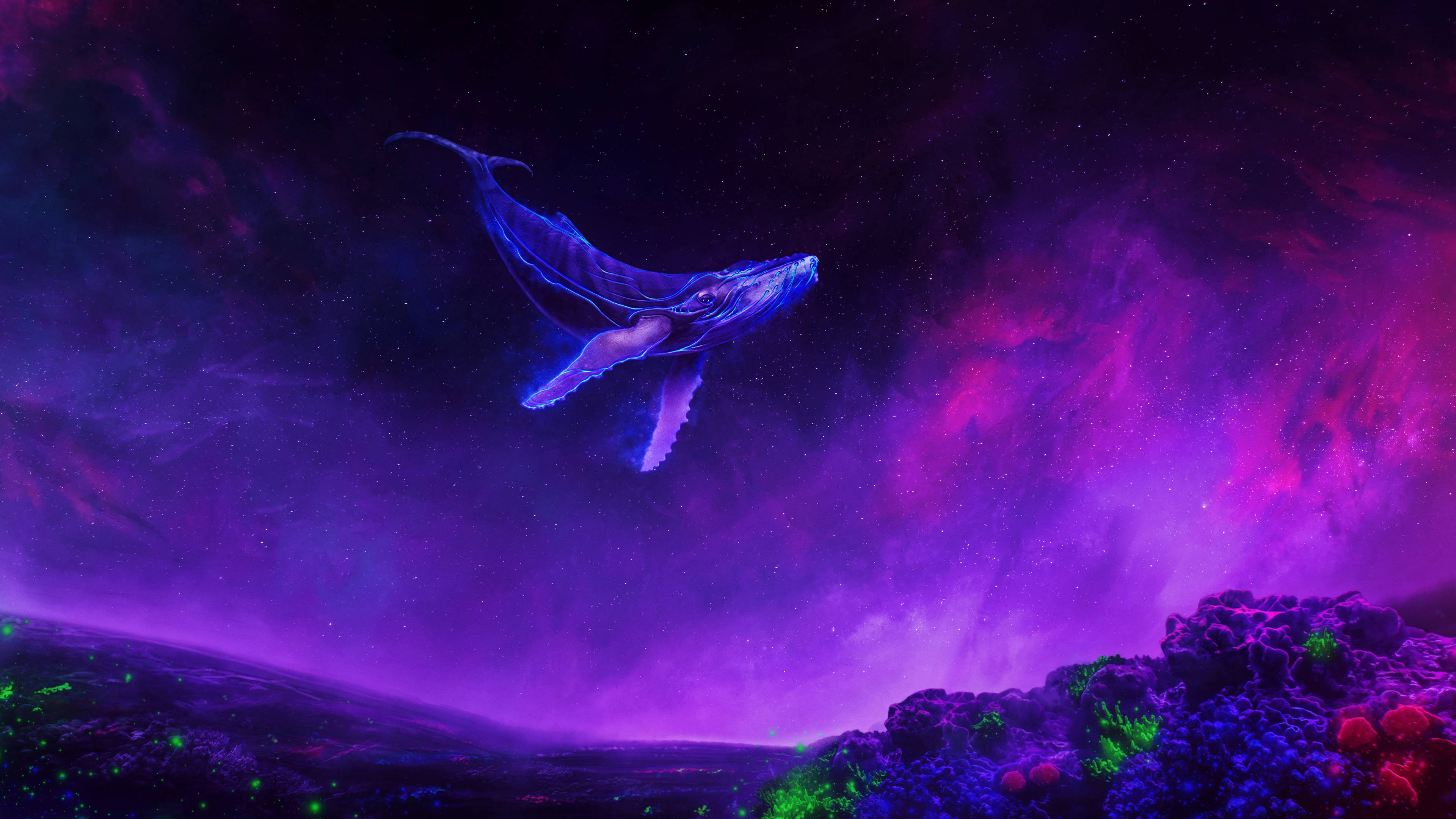 Surreal Hval Svevende 4K Lilla Bakgrunner