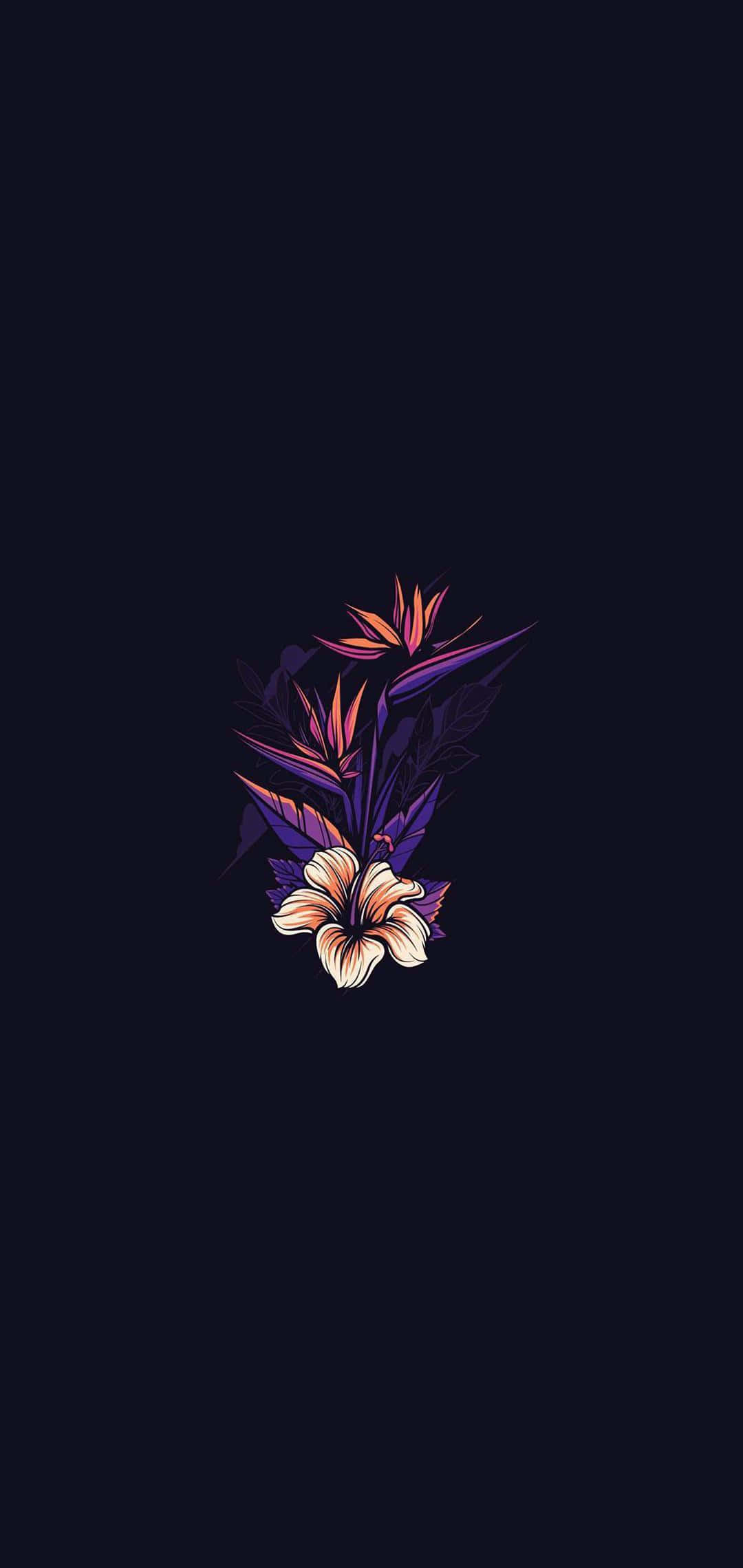 svart bakgrunn med en lilla blomst på Bakgrunner