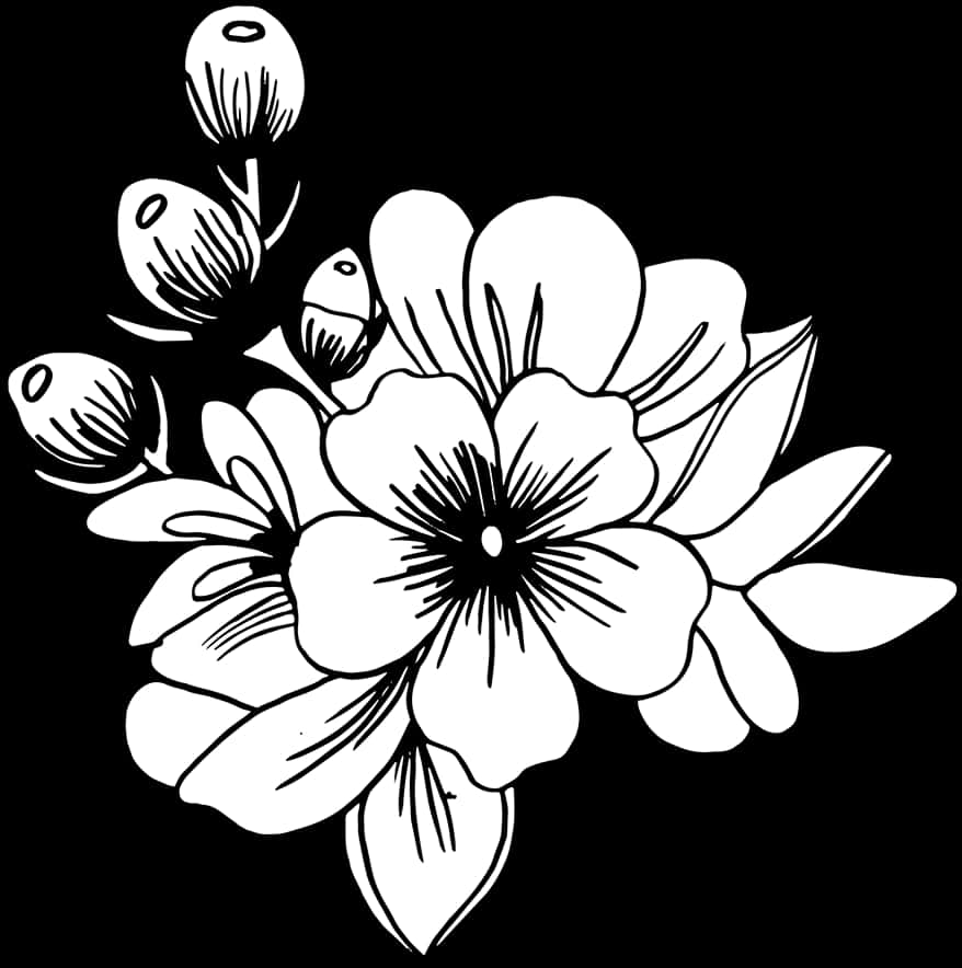 Svart-hvitt blomsterillustrasjon Bakgrunner