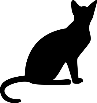 Svart skjerm plassholder.JPG Bakgrunner