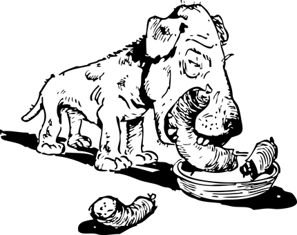 Svart skjerm plassholder Bakgrunner