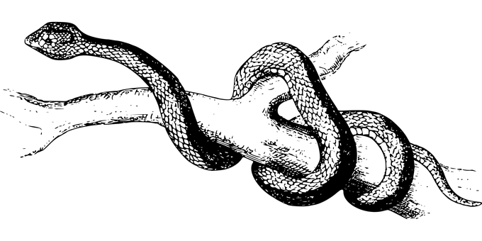 Svart skjermplassholder Bakgrunner