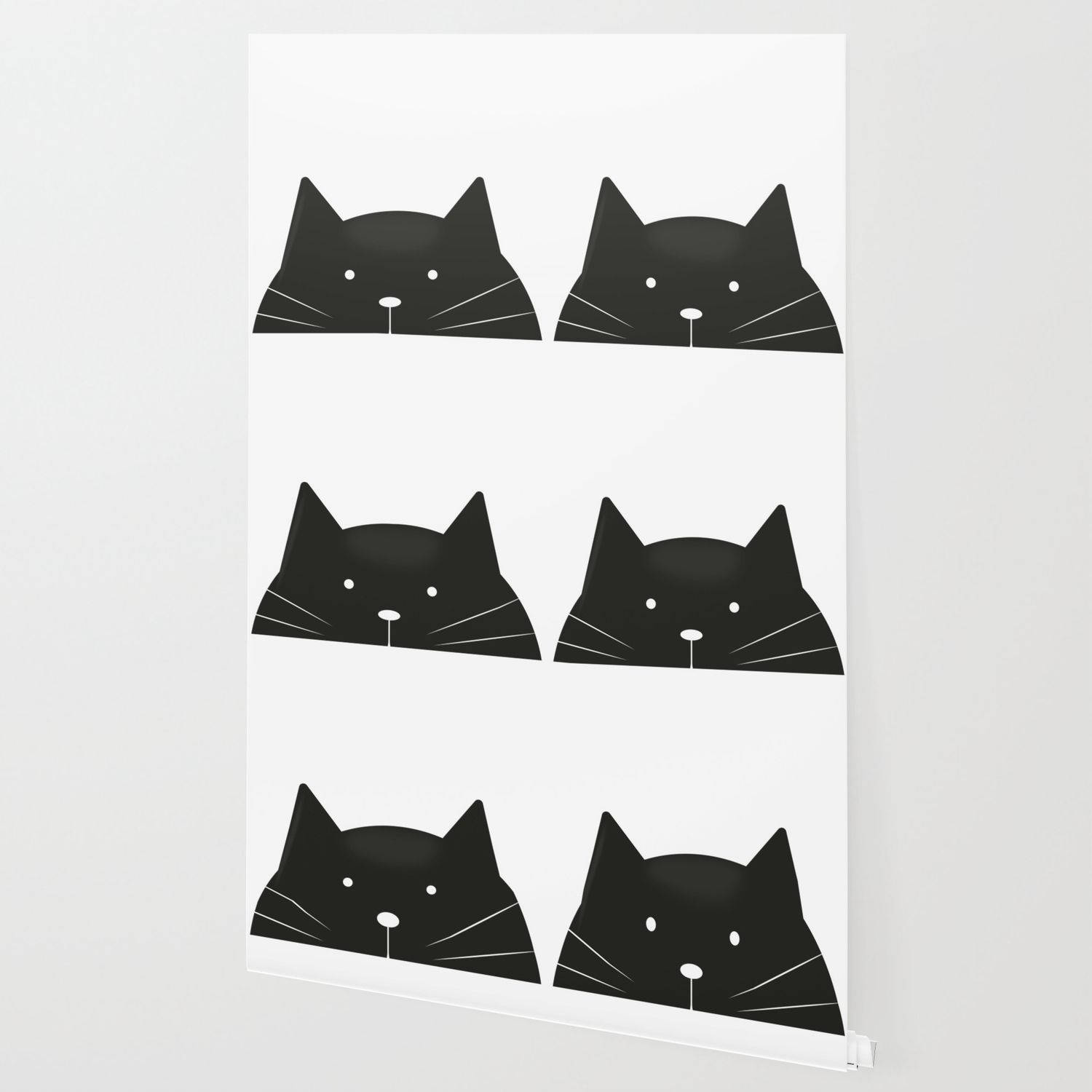 Svarte tegneseriekatter Bakgrunner
