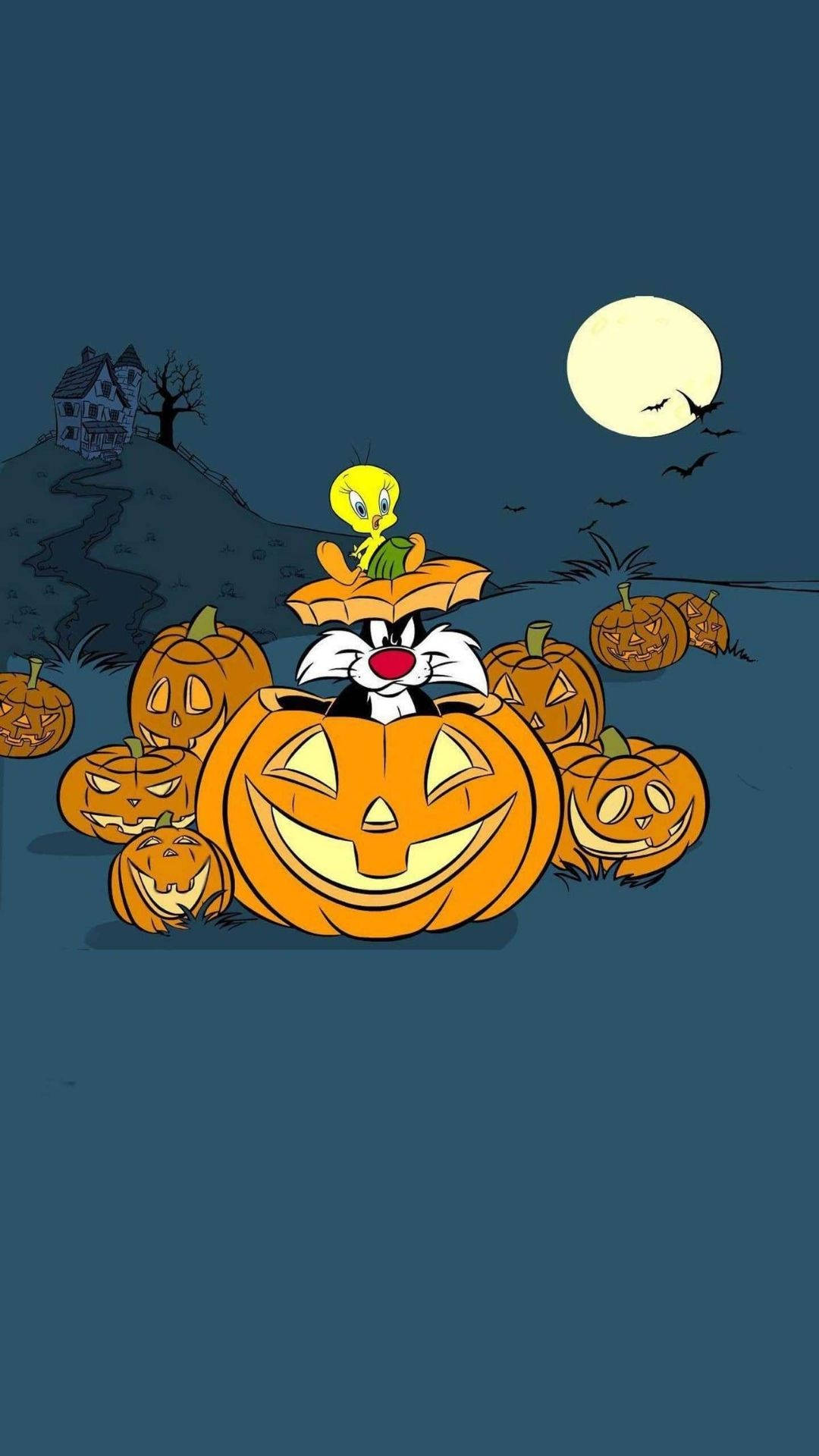 Sylvester på gresskar tegneserie Halloween Bakgrunner