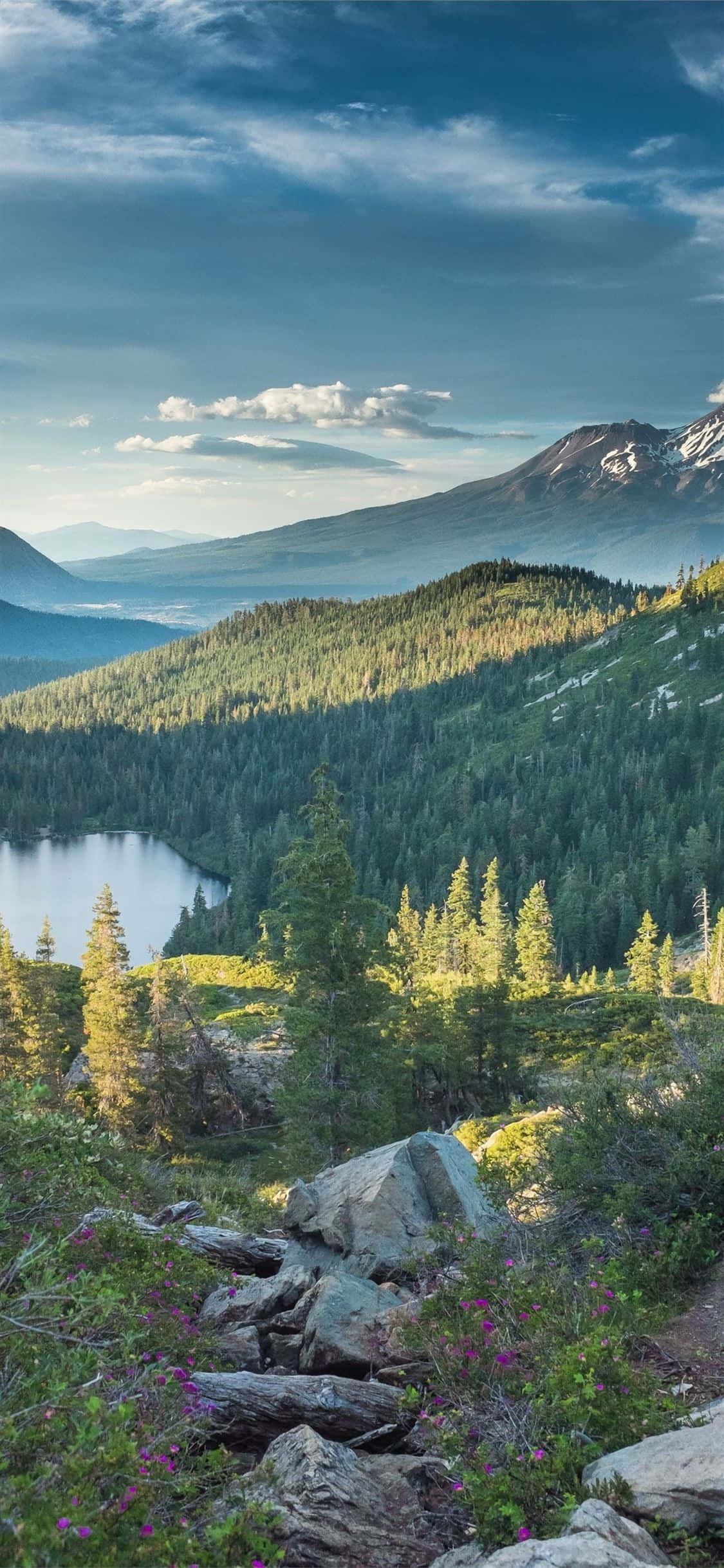 Ta en virtuell omvisning i California med iPhone X Bakgrunner
