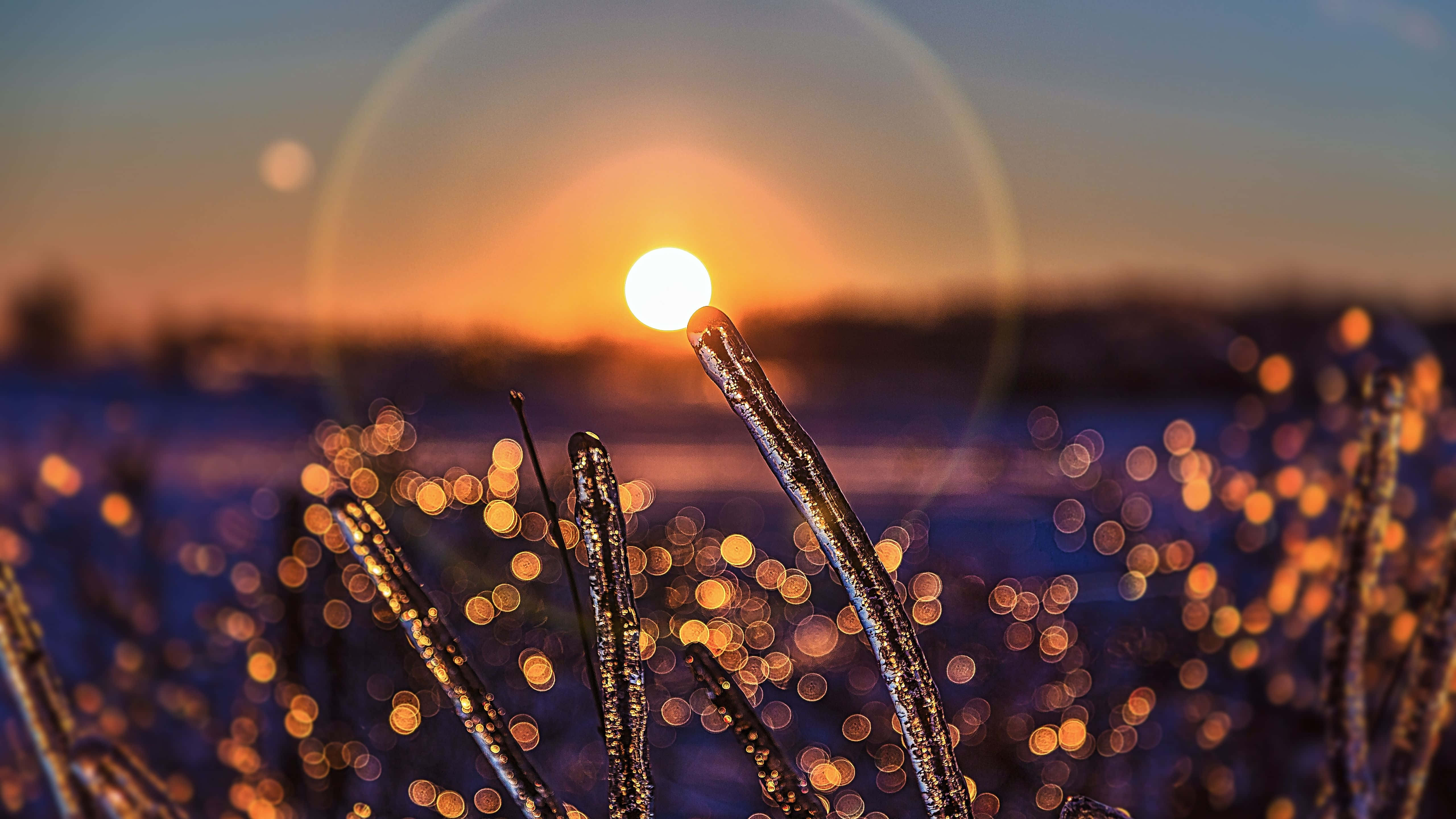 Ta flukt og nå solen Bakgrunner