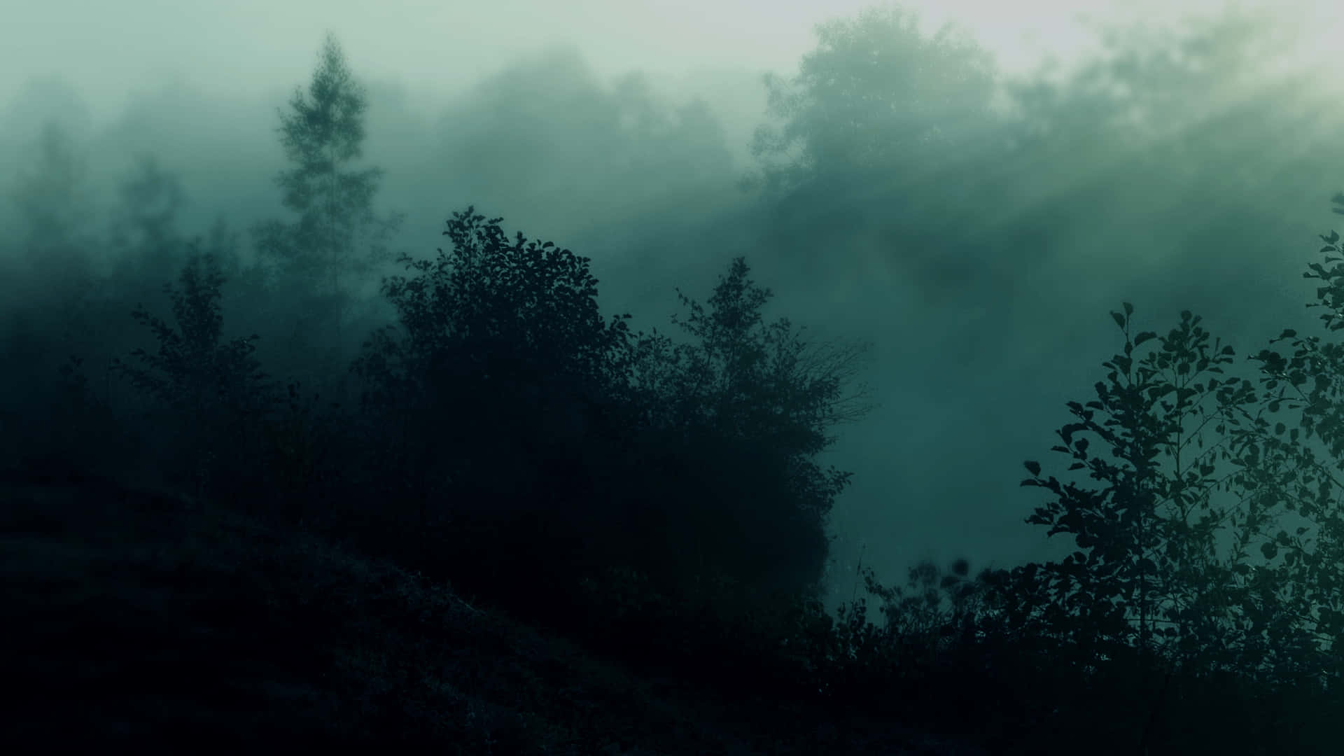 tåke bakgrunnsbilder HD Bakgrunner