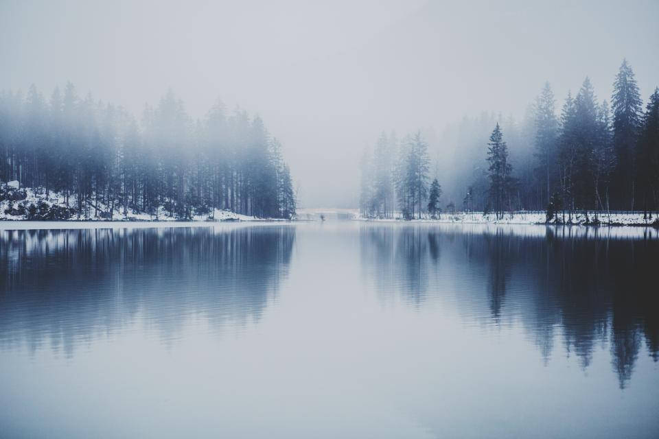 Tåkete skog og vintersjø Bakgrunner