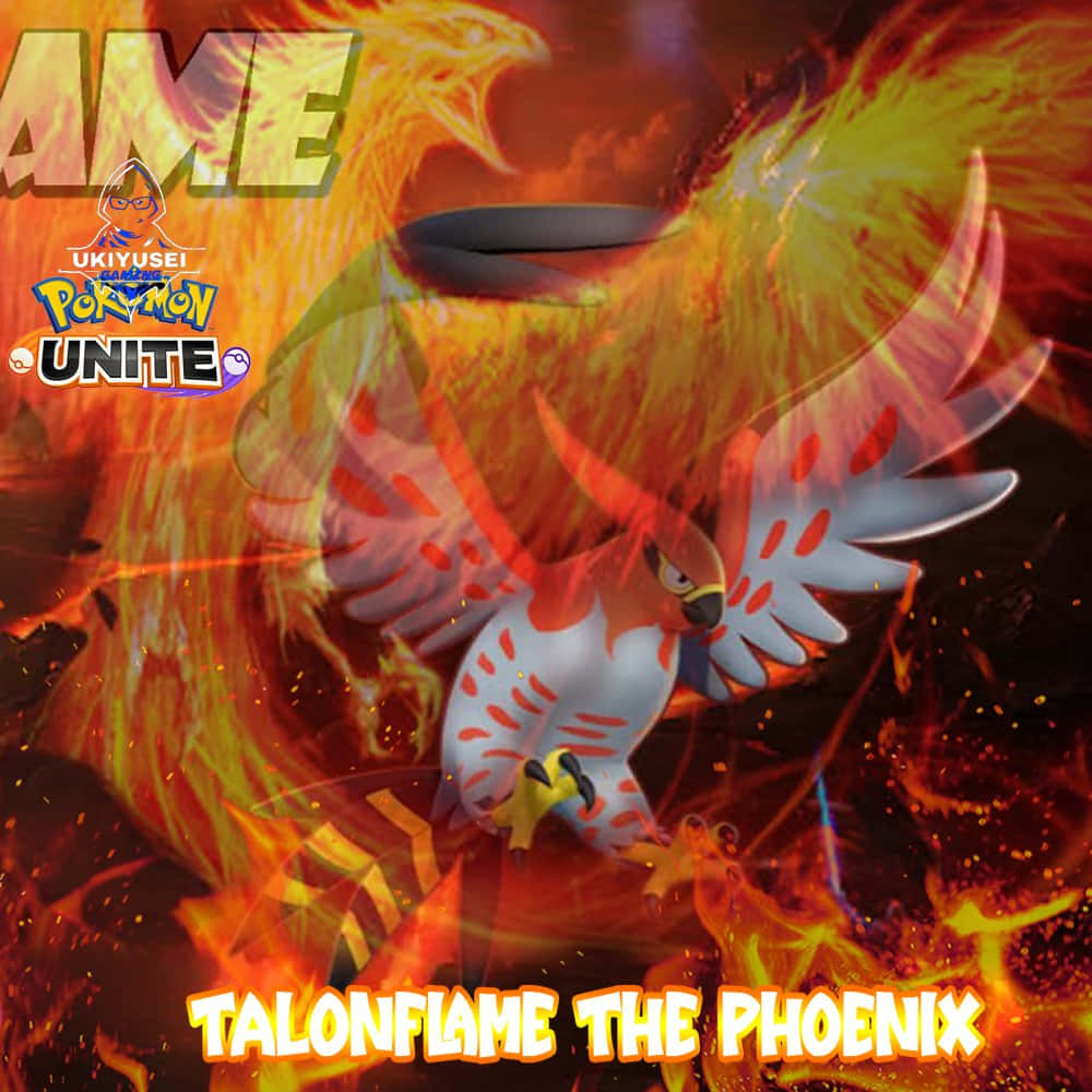 Talonflame Phoenix Pokémon Unite Bakgrunner
