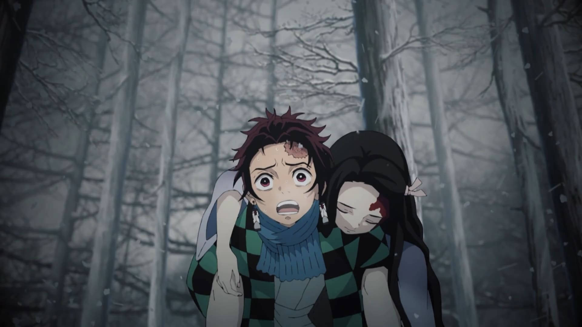 Tanjiro bærer Nezuko i Demon Slayer Bakgrunner