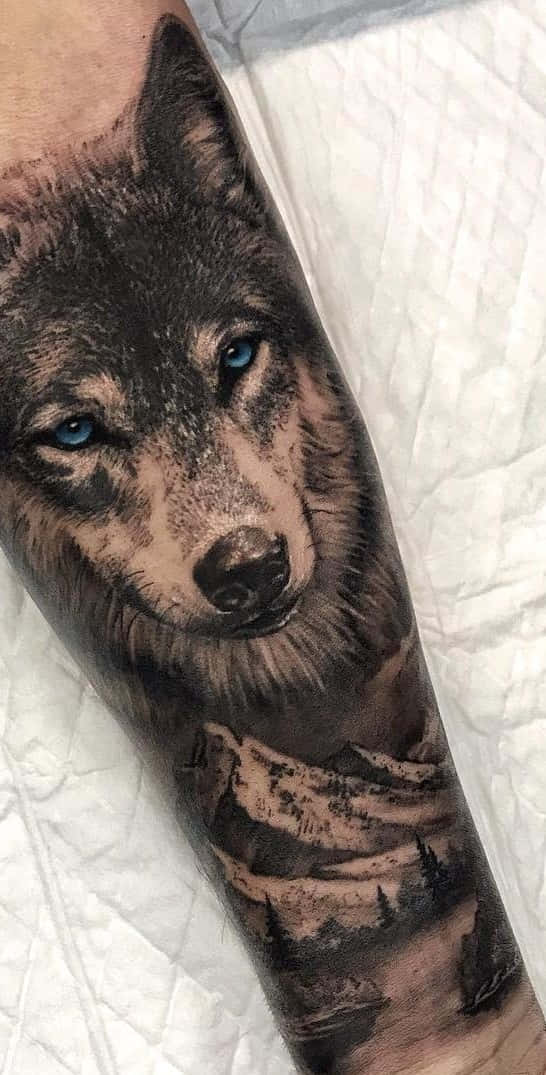 Tatoveringer ulv fjell på underarm bilder Bakgrunner