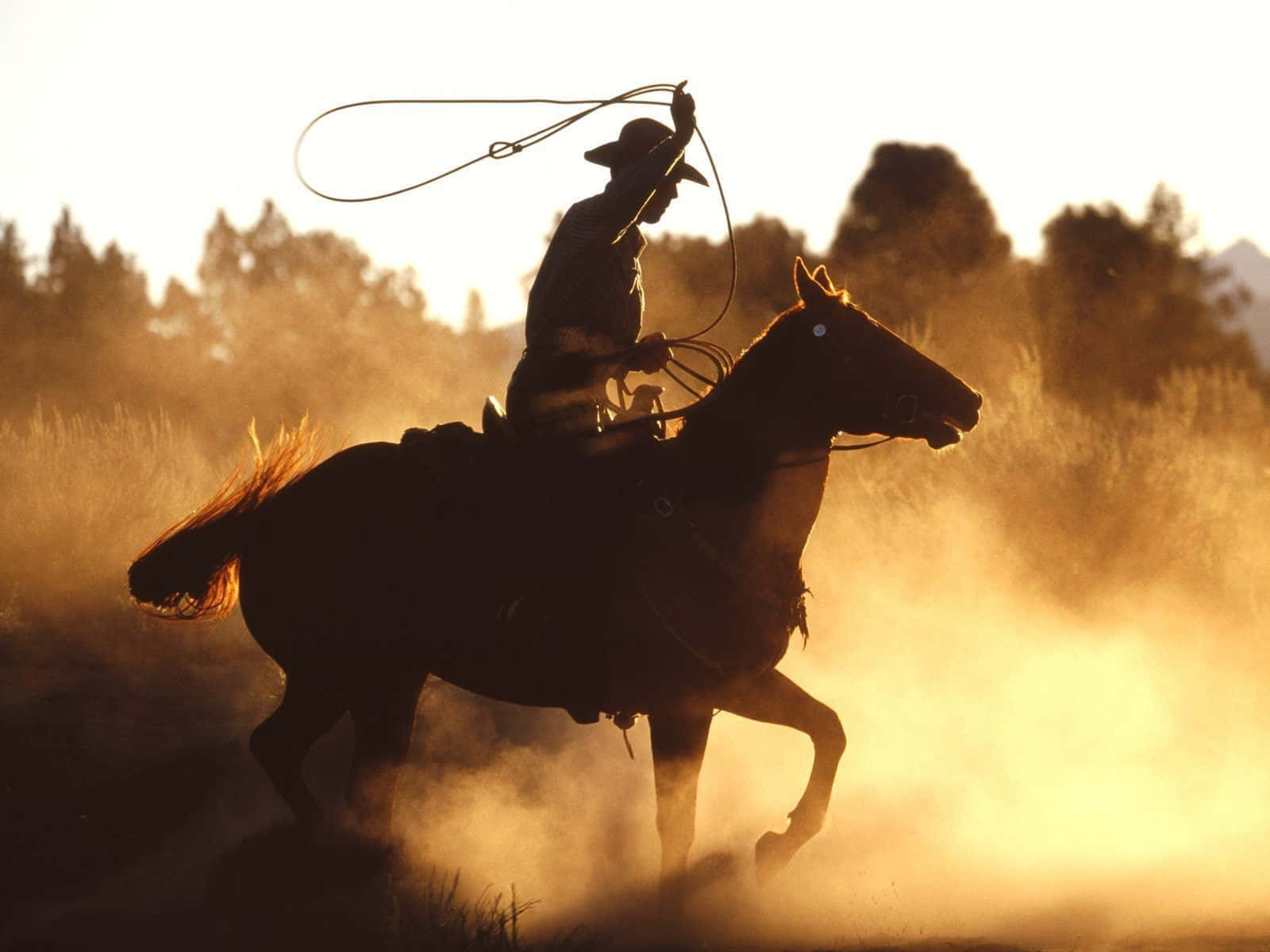 Team Roping i støvet Bakgrunner