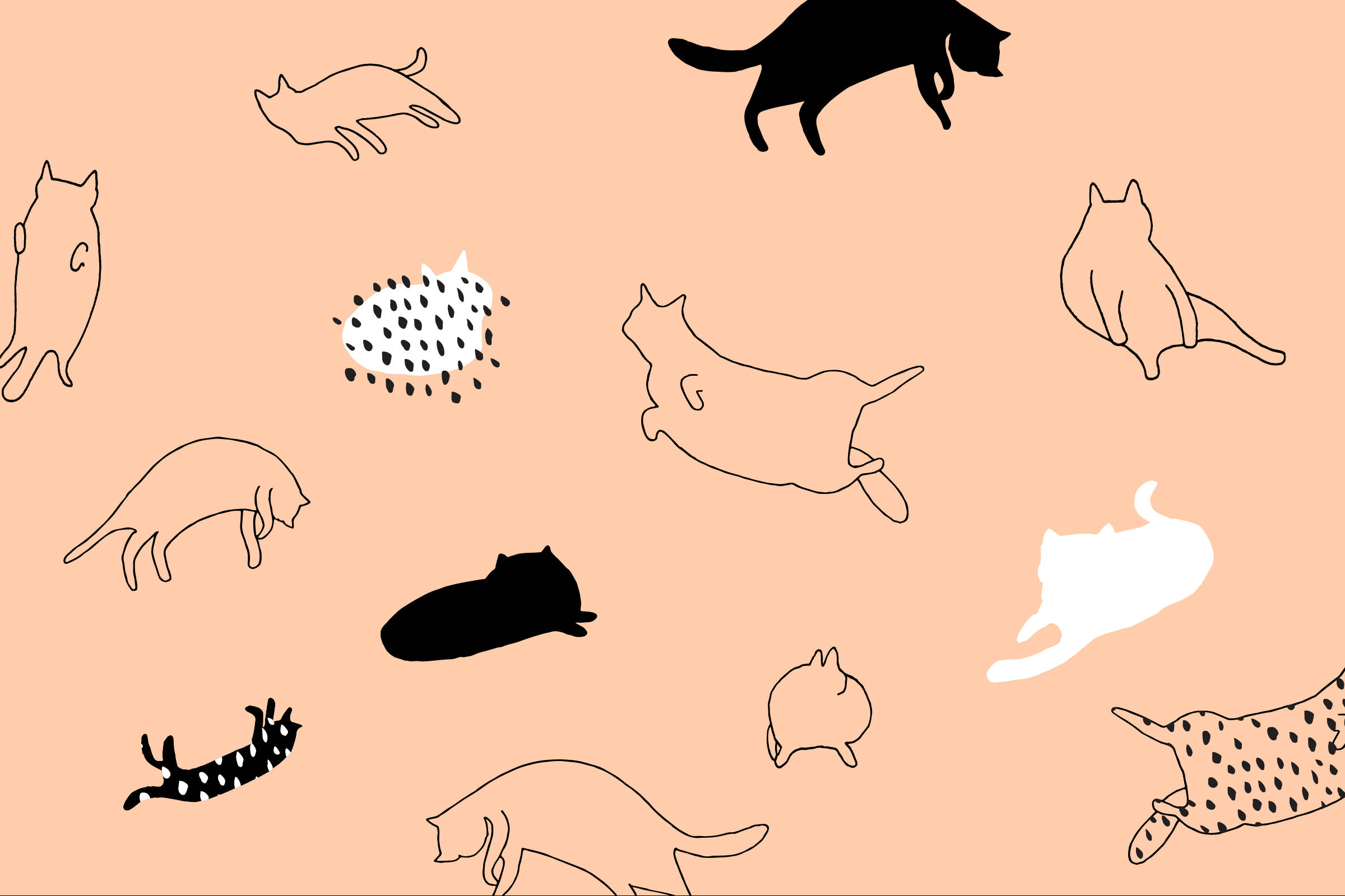 Tegneseriekatter minimalistisk kunst Bakgrunner