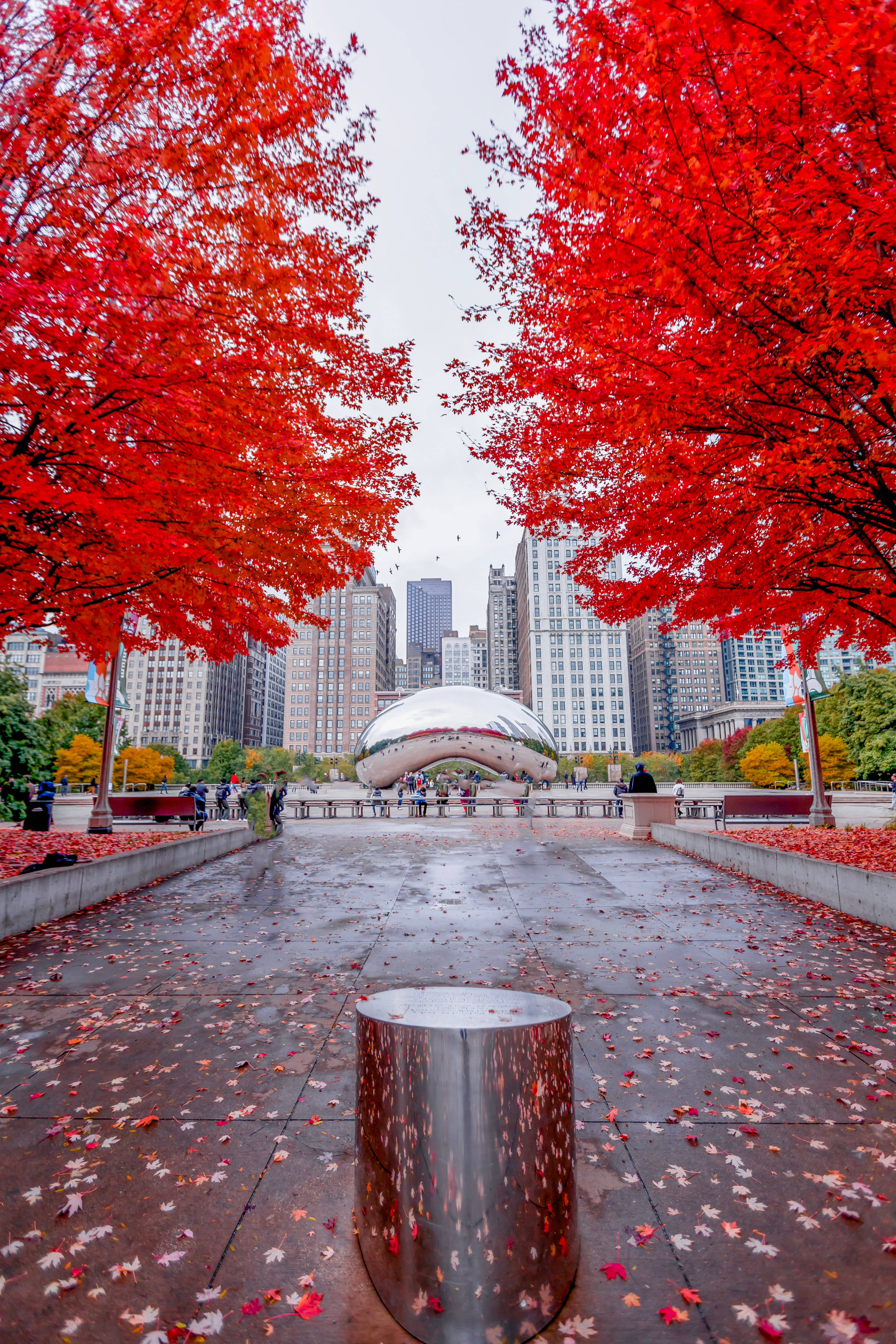 The Bean Chicago Røde Løv Bakgrunner
