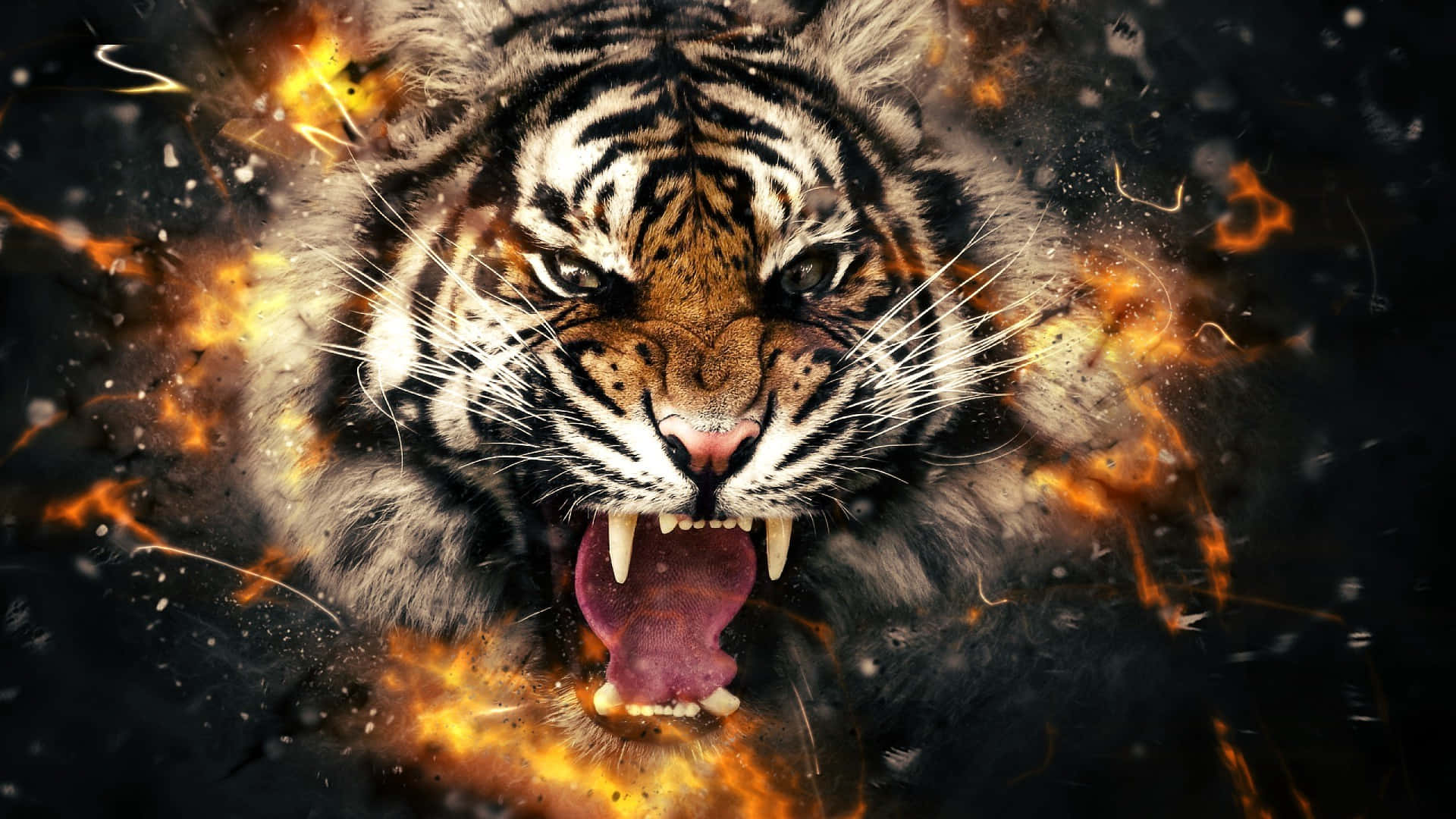Tigeransikt i raseri med ild Bakgrunner