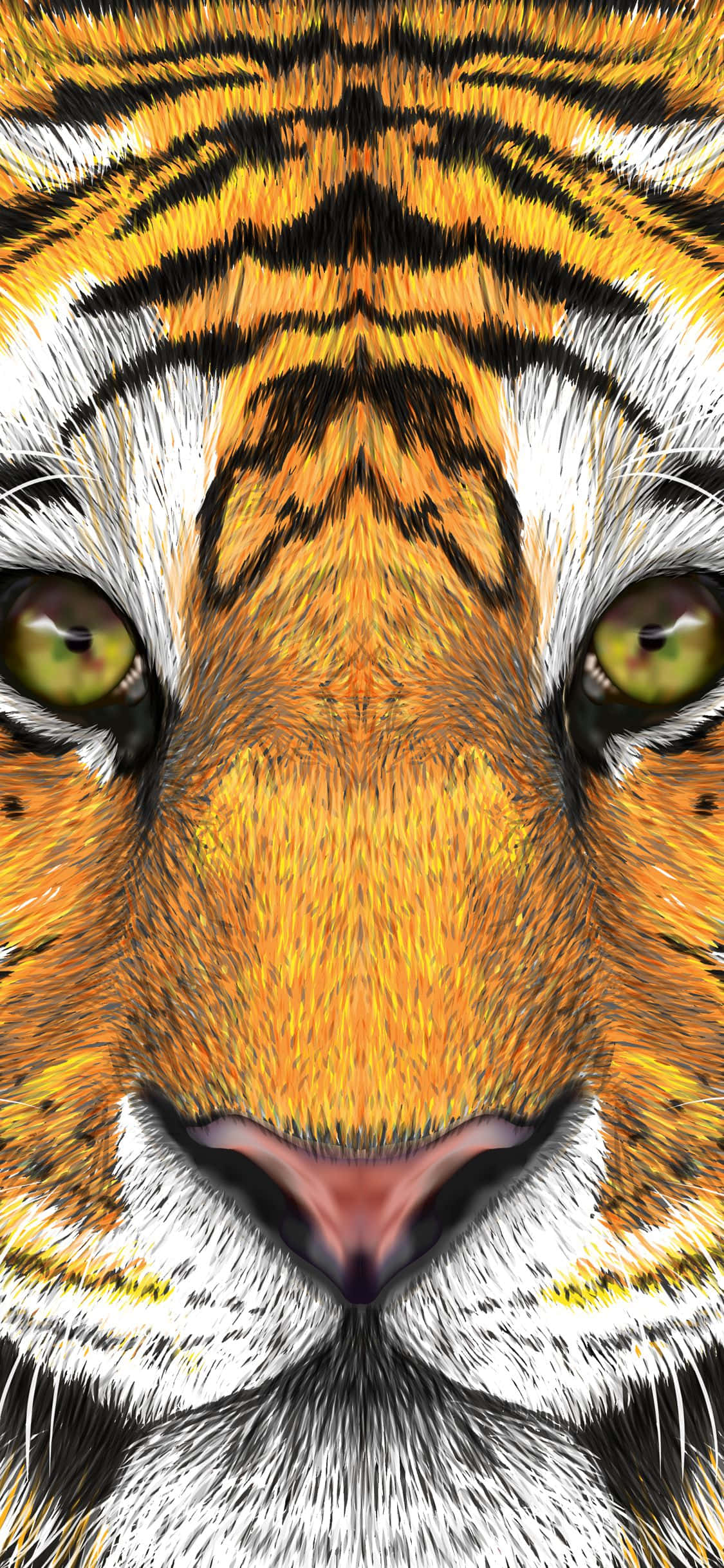 Tigeransiktsbilder Bakgrunner
