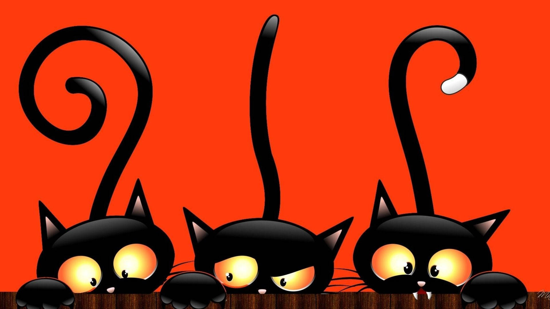 Tittende tegneseriekatter til Halloween Bakgrunner