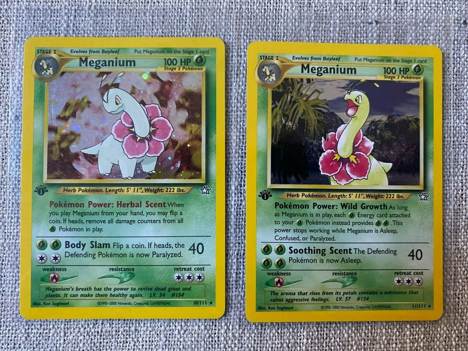 To Meganium Pokemon-samlekort Bakgrunner