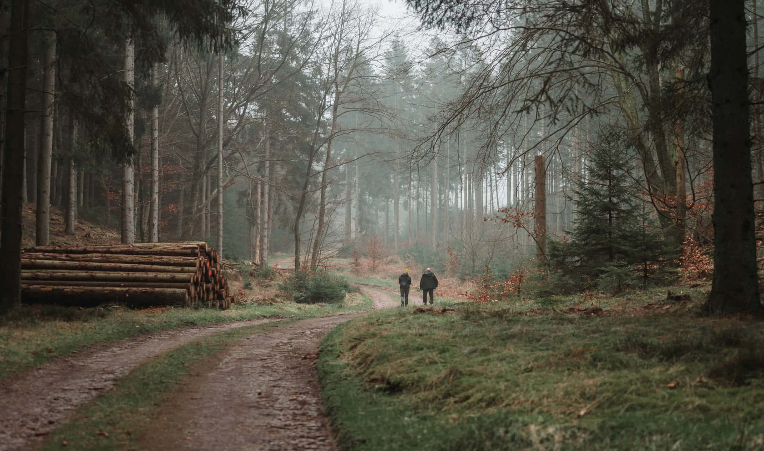 to personer som går nedover en grusvei i skogen Bakgrunner
