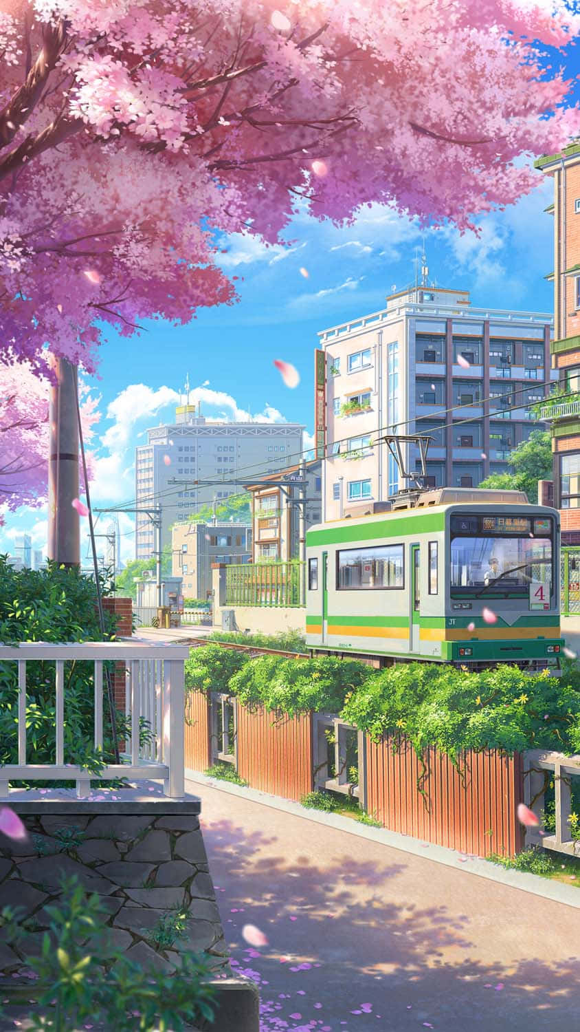 Tokyo Anime By med Kirsebærblomsttre Bakgrunner