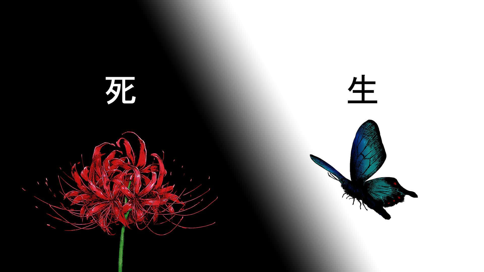 Tokyo Ghoul Blomst & Sommerfugl Bakgrunner