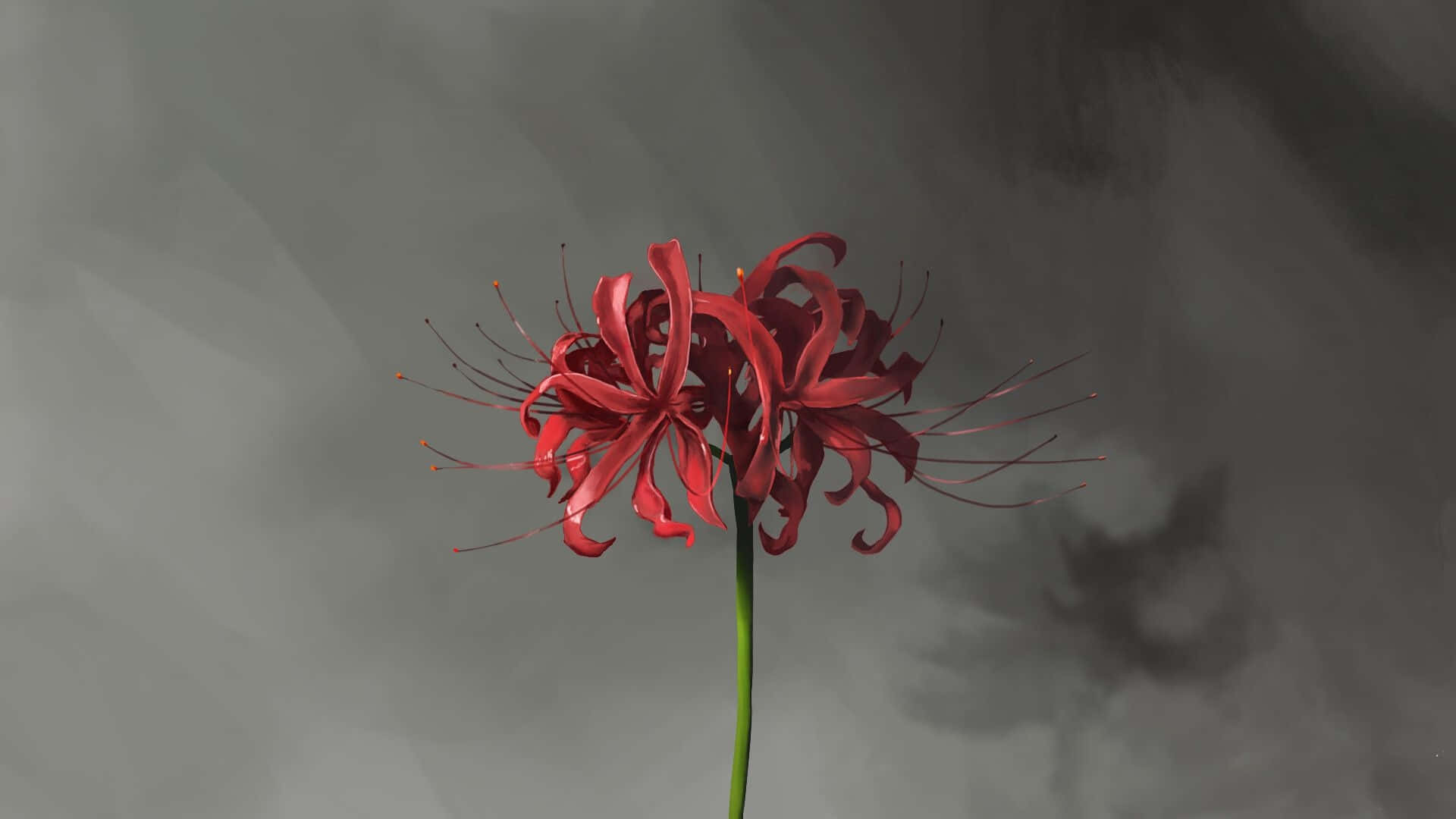 Tokyo Ghoul-blomst med skygge Bakgrunner