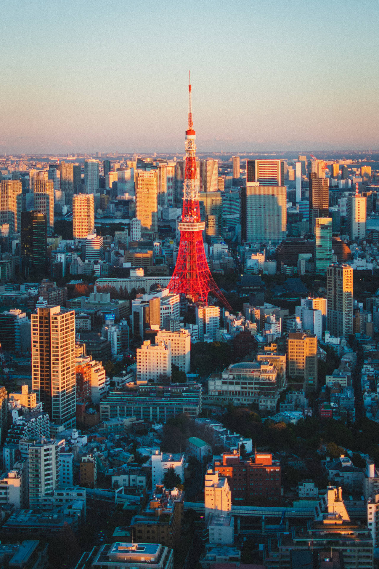 Tokyo Metropolis og Rødt Tokyo Tower