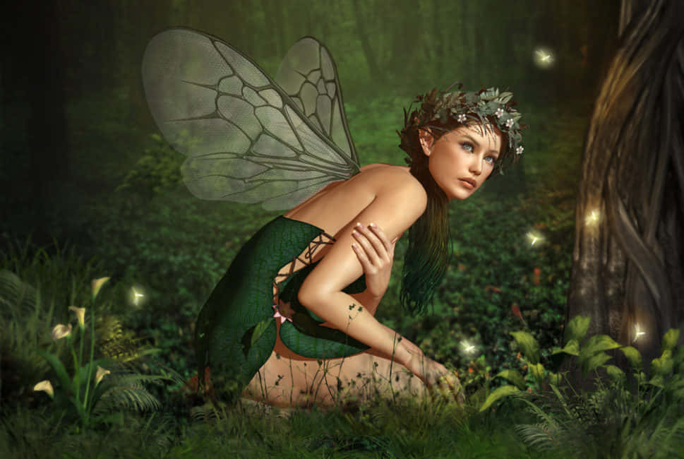 Trå inn i en eterisk verden med denne fortryllende Fairy Aesthetic-bakgrunnen Bakgrunner