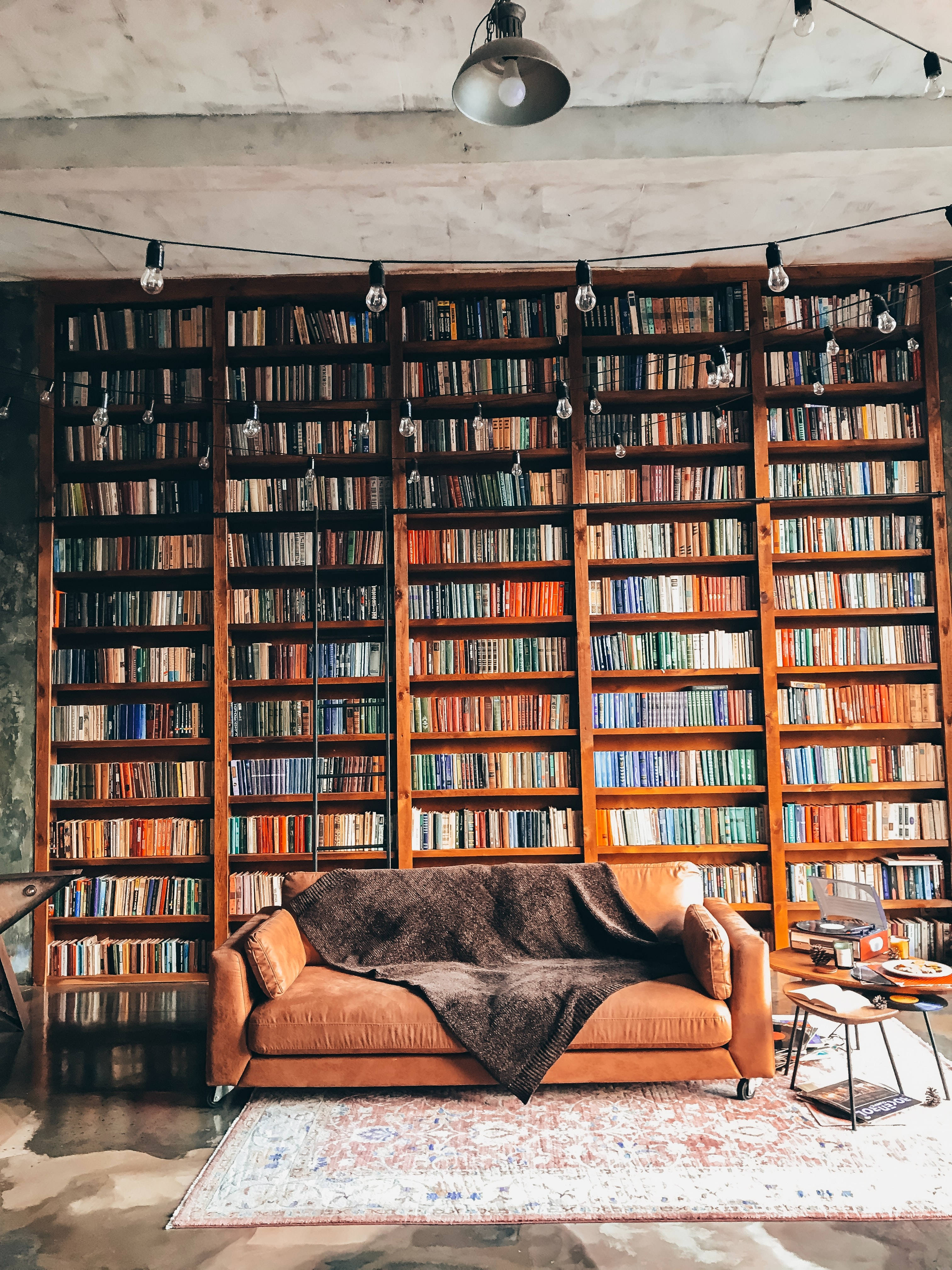Tradisjonelt bibliotekinteriør med koselig sofa Bakgrunner