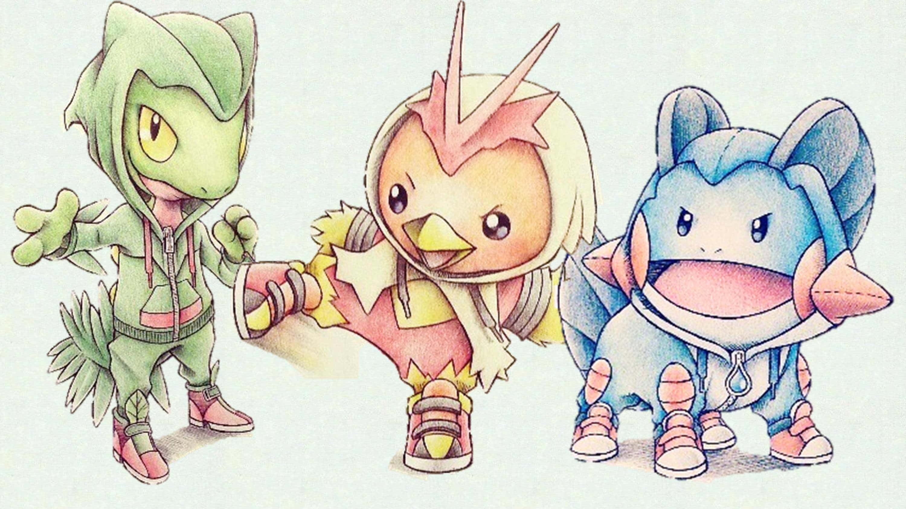Treecko, Torchic og Mudkip tegning Bakgrunner
