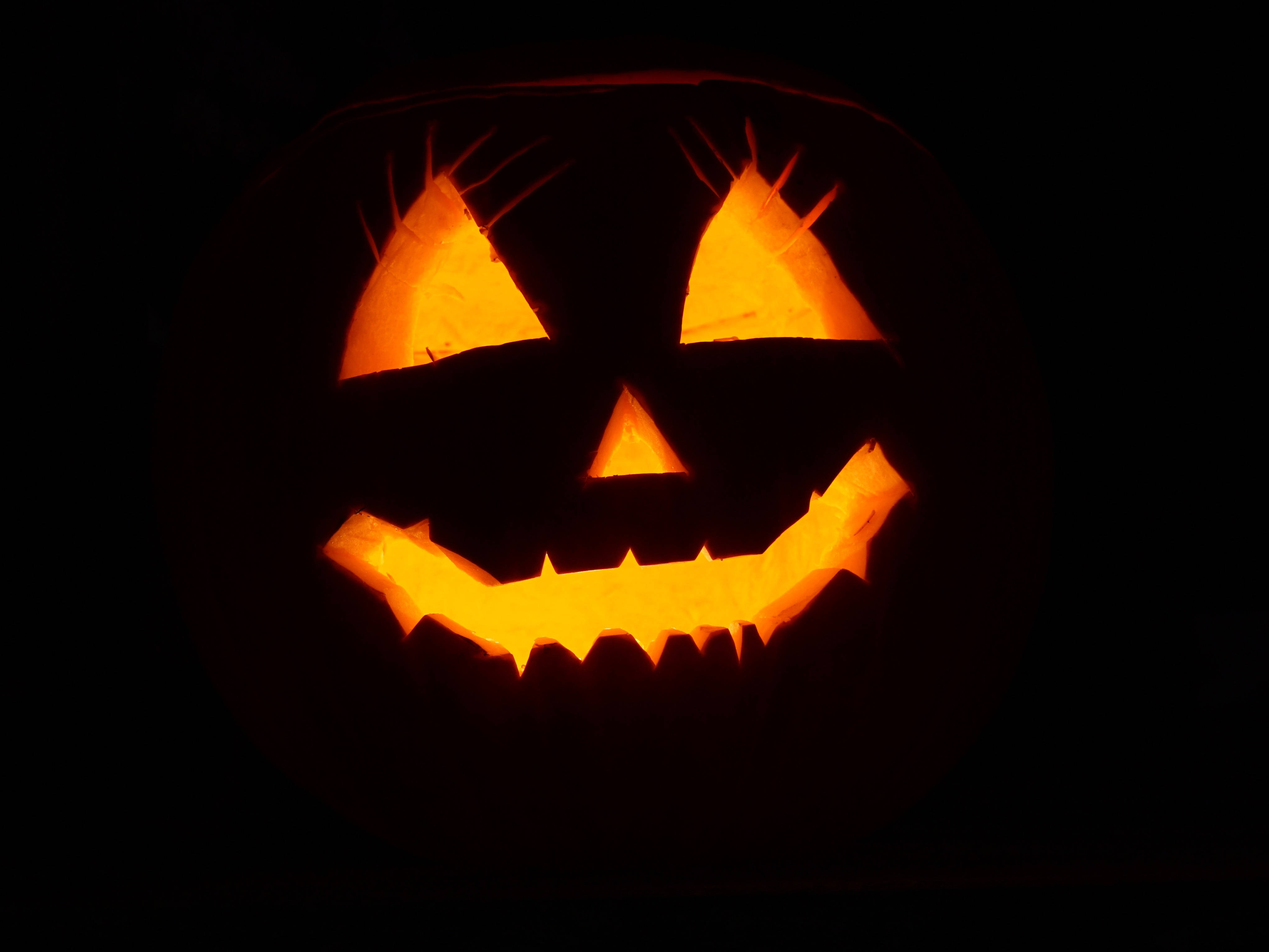 Trick or Treat – Feire Halloween med et svart gresskar Bakgrunner