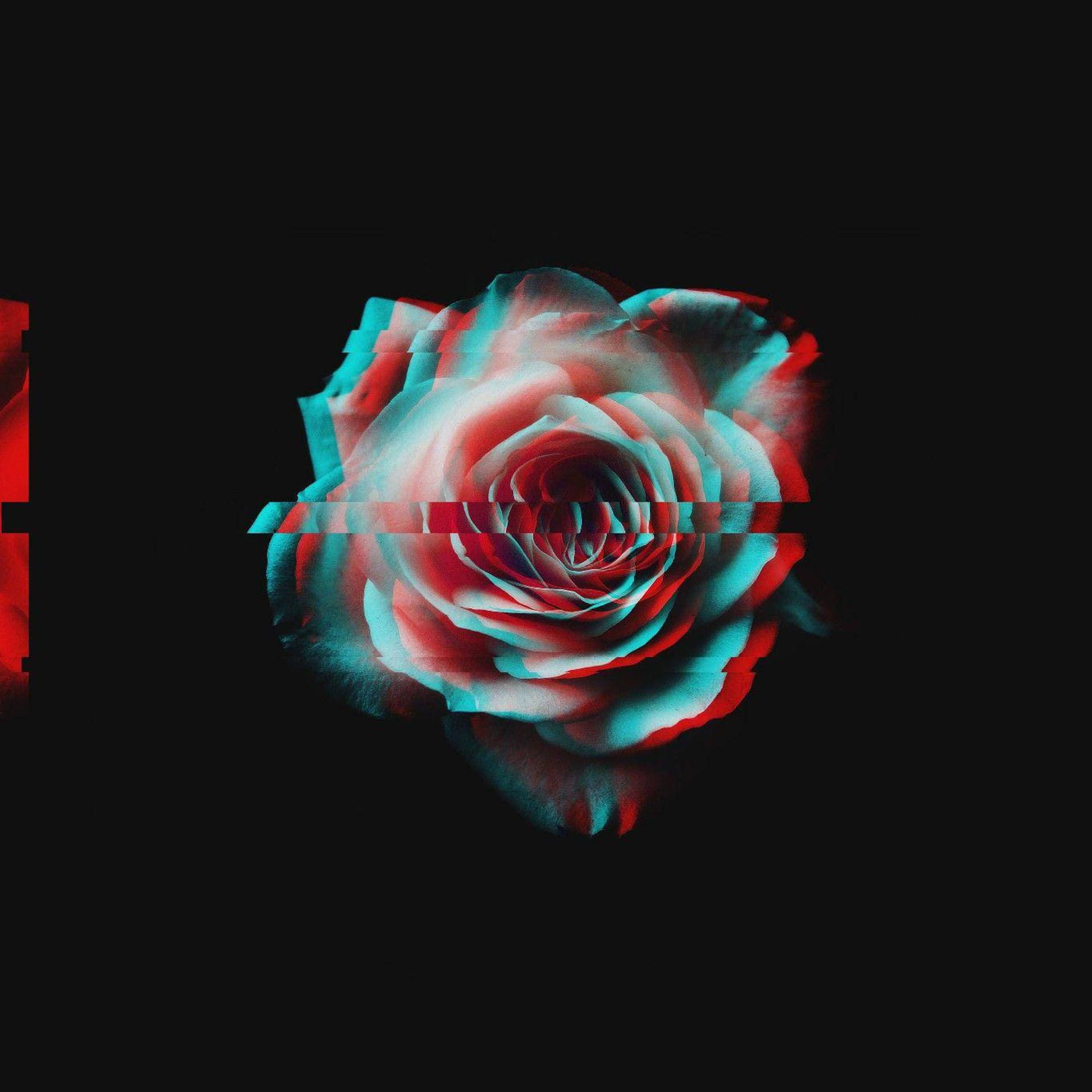 Trippy mørk estetisk glitch-rose Bakgrunner