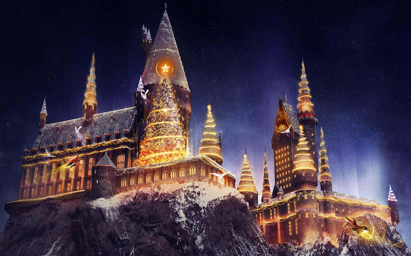 Trollmannsverdenen til Harry Potter julepark Bakgrunner