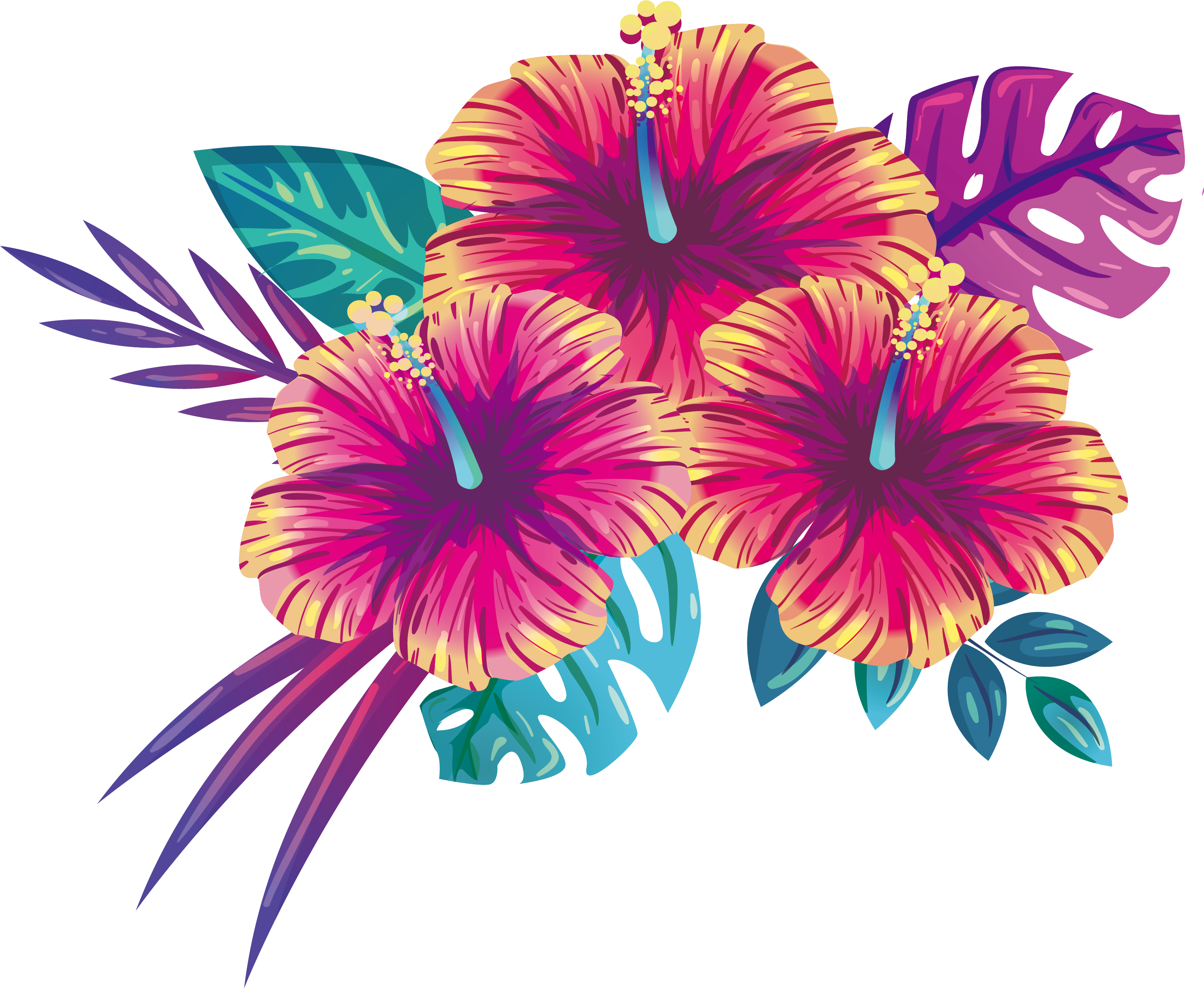 Tropisk hibiskus blomsterillustrasjon Bakgrunner